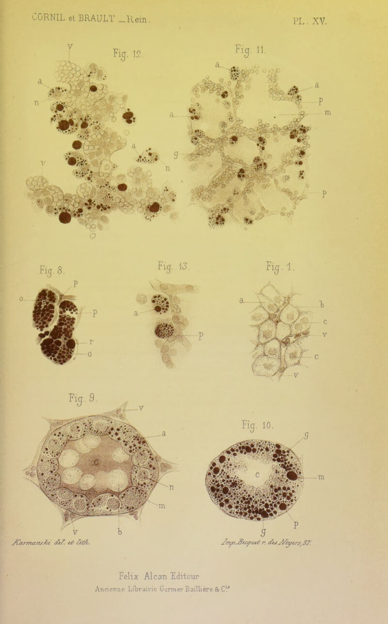 CORNIL ei BRAULT _Kem VL. XV. Félix Alcan Editeur