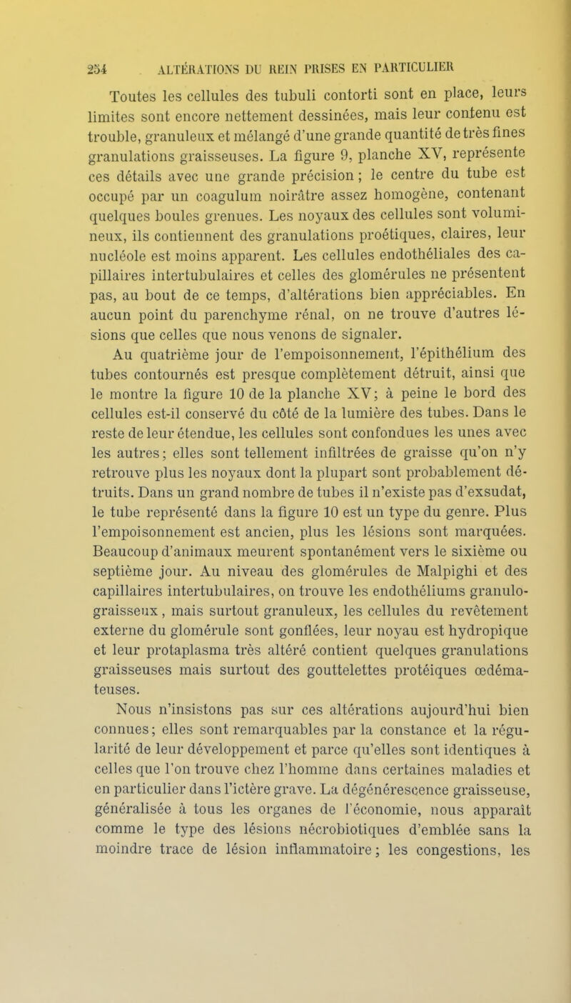 Toutes les cellules des tubuli contorti sont en place, leurs limites sont encore nettement dessinées, mais leur contenu est trouble, granuleux et mélangé d'une grande quantité de très fines granulations graisseuses. La figure 9, planche XV, représente ces détails avec une grande précision ; le centre du tube est occupé par un coagulum noirâtre assez homogène, contenant quelques boules grenues. Les noyaux des cellules sont volumi- neux, ils contiennent des granulations proétiques, claires, leur nucléole est moins apparent. Les cellules endothéliales des ca- pillaires intertubulaires et celles des glomérules ne présentent pas, au bout de ce temps, d'altérations bien appréciables. En aucun point du parenchyme rénal, on ne trouve d'autres lé- sions que celles que nous venons de signaler. Au quatrième jour de l'empoisonnement, l'épithélium des tubes contournés est presque complètement détruit, ainsi que le montre la figure 10 de la planche XV; à peine le bord des cellules est-il conservé du côté de la lumière des tubes. Dans le reste de leur étendue, les cellules sont confondues les unes avec les autres ; elles sont tellement infiltrées de graisse qu'on n'y retrouve plus les noyaux dont la plupart sont probablement dé- truits. Dans un grand nombre de tubes il n'existe pas d'exsudat, le tube représenté dans la figure 10 est un type du genre. Plus l'empoisonnement est ancien, plus les lésions sont marquées. Beaucoup d'animaux meurent spontanément vers le sixième ou septième jour. Au niveau des glomérules de Malpighi et des capillaires intertubulaires, on trouve les endothéliums granulo- graisseux, mais surtout granuleux, les cellules du revêtement externe du glomérule sont gonflées, leur noyau est hydropique et leur protaplasma très altéré contient quelques granulations graisseuses mais surtout des gouttelettes protéiques œdéma- teuses. Nous n'insistons pas sur ces altérations aujourd'hui bien connues ; elles sont remarquables par la constance et la régu- larité de leur développement et parce qu'elles sont identiques à celles que l'on trouve chez l'homme dans certaines maladies et en particulier dans l'ictère grave. La dégénérescence graisseuse, généralisée à tous les organes de l'économie, nous apparaît comme le type des lésions nécrobiotiques d'emblée sans la moindre trace de lésion inflammatoire ; les congestions, les