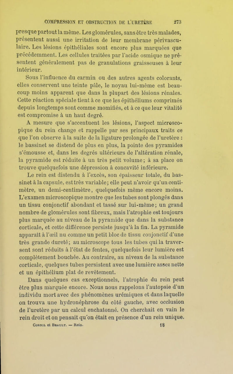 presque partout la même. Lesglomérules, sans être très malades, présentent aussi une irritation de leur membrane périvascu- laire. Les lésions épithéliales sont encore plus marquées que précédemment. Les cellules traitées par l'acide osmique ne pré- sentent généralement pas de granulations graisseuses à leur intérieur. Sous l'influence du carmin ou des autres agents colorants, elles conservent une teinte pâle, le noyau lui-même est beau- coup moins apparent que dans la plupart des lésions rénales. Cette réaction spéciale tient à ce que les épithéliums comprimés depuis longtemps sont comme momifiés, et à ce que leur vitalité est compromise à un haut degré. A mesure que s'accentuent les lésions, l'aspect microsco- pique du rein change et rappelle par ses principaux traits ce que l'on observe à la suite de la ligature prolongée de l'uretère : le bassinet se distend de plus en plus, la pointe des pyramides s'émousse et, dans les degrés ultérieurs de l'altération rénale, la pyramide est réduite à un très petit volume; à sa place on trouve quelquefois une dépression à concavité inférieure. Le rein est distendu à l'excès, son épaisseur totale, du bas- sinet à la capsule, est très variable; elle peut n'avoir qu'un centi- mètre, un demi-centimètre, quelquefois même encore moins. L'examen microscopique montre que les tubes sont plongés dans un tissu conjonctif abondant et tassé sur lui-même; un grand nombre de glomérules sont fibreux, mais l'atrophie est toujours plus marquée au niveau de la pyramide que dans la substance corticale, et cette différence persiste jusqu'à la fin. La pyramide apparaît à l'œil nu comme un petit bloc de tissu conjonctif d'une très grande dureté; au microscope tous les tubes qui la traver- sent sont réduits à l'état de fentes, quelquefois leur lumière est complètement bouchée. Au contraire, au niveau de la substance corticale, quelques tubes persistent avec une lumière assez nette et un épithélium plat de revêtement. Dans quelques cas exceptionnels, l'atrophie du rein peut être plus marquée encore. Nous nous rappelons l'autopsie d'un individu mort avec des phénomènes urémiques et dans laquelle on trouva une hydronéphrose du côté gauche, avec occlusion de l'uretère par un calcul enchatonné. On cherchait en vain le rein droit et on pensait qu'on était en présence d'un rein unique. CoRNiL et Brault. — Reia. IS