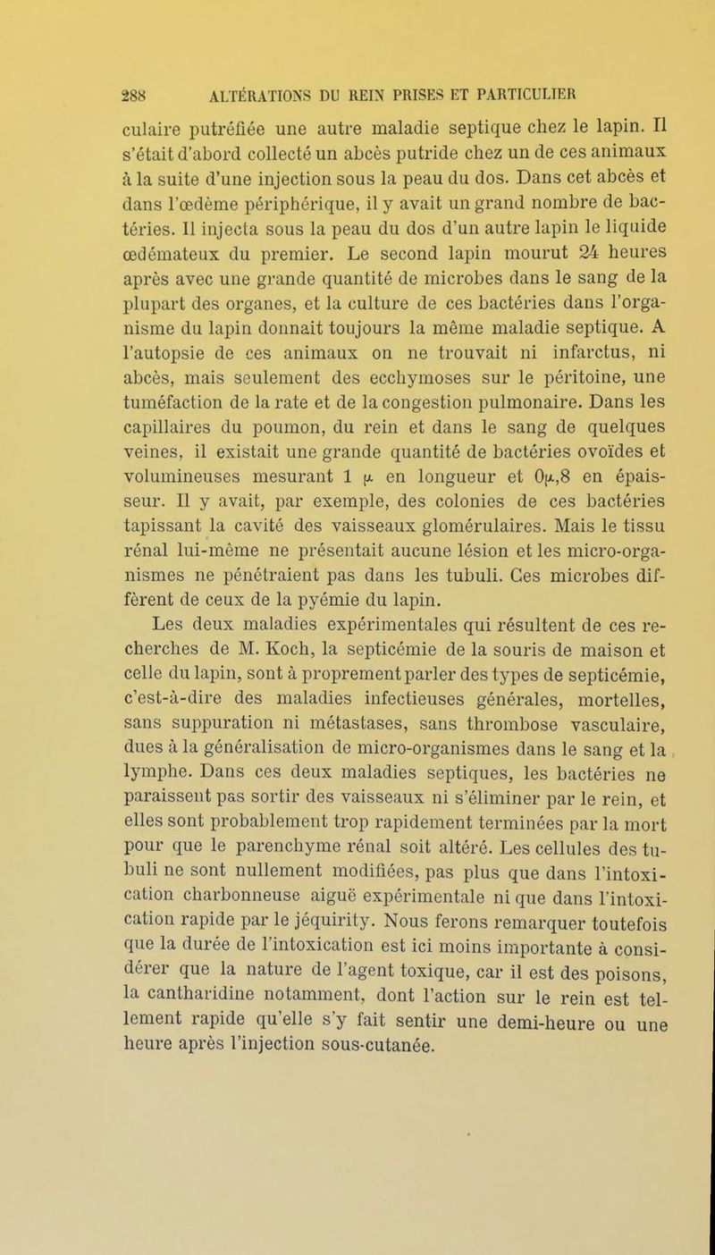 culaire putréfiée une autre maladie septique chez le lapin. Il s'était d'abord collecté un abcès putride chez un de ces animaux à la suite d'une injection sous la peau du dos. Dans cet abcès et dans l'œdème périphérique, il y avait un grand nombre de bac- téries. Il injecta sous la peau du dos d'un autre lapin le liquide œdémateux du premier. Le second lapin mourut 24 heures après avec une grande quantité de microbes dans le sang de la plupart des organes, et la culture de ces bactéries dans l'orga- nisme du lapin donnait toujours la même maladie septique. A l'autopsie de ces animaux on ne trouvait ni infarctus, ni abcès, mais seulement des ecchymoses sur le péritoine, une tuméfaction de la rate et de la congestion pulmonaire. Dans les capillaires du poumon, du rein et dans le sang de quelques veines, il existait une grande quantité de bactéries ovoïdes et volumineuses mesurant 1 y. en longueur et 0ijl,8 en épais- seur. Il y avait, par exemple, des colonies de ces bactéries tapissant la cavité des vaisseaux glomérulaires. Mais le tissu rénal lui-même ne présentait aucune lésion et les micro-orga- nismes ne pénétraient pas dans les tubuli. Ces microbes dif- fèrent de ceux de la pyémie du lapin. Les deux maladies expérimentales qui résultent de ces re- cherches de M. Koch, la septicémie de la souris de maison et celle du lapin, sont à proprement parler des types de septicémie, c'est-à-dire des maladies infectieuses générales, mortelles, sans suppuration ni métastases, sans thrombose vasculaire, dues à la généralisation de micro-organismes dans le sang et la lymphe. Dans ces deux maladies septiques, les bactéries ne paraissent pas sortir des vaisseaux ni s'éliminer par le rein, et elles sont probablement trop rapidement terminées par la mort pour que le parenchyme rénal soit altéré. Les cellules des tu- buli ne sont nullement modifiées, pas plus que dans l'intoxi- cation charbonneuse aiguë expérimentale ni que dans l'intoxi- cation rapide par le jéquirity. Nous ferons remarquer toutefois que la durée de l'intoxication est ici moins importante à consi- dérer que la nature de l'agent toxique, car il est des poisons, la cantharidine notamment, dont Faction sur le rein est tel- lement rapide qu'elle s'y fait sentir une demi-heure ou une heure après l'injection sous-cutanée.