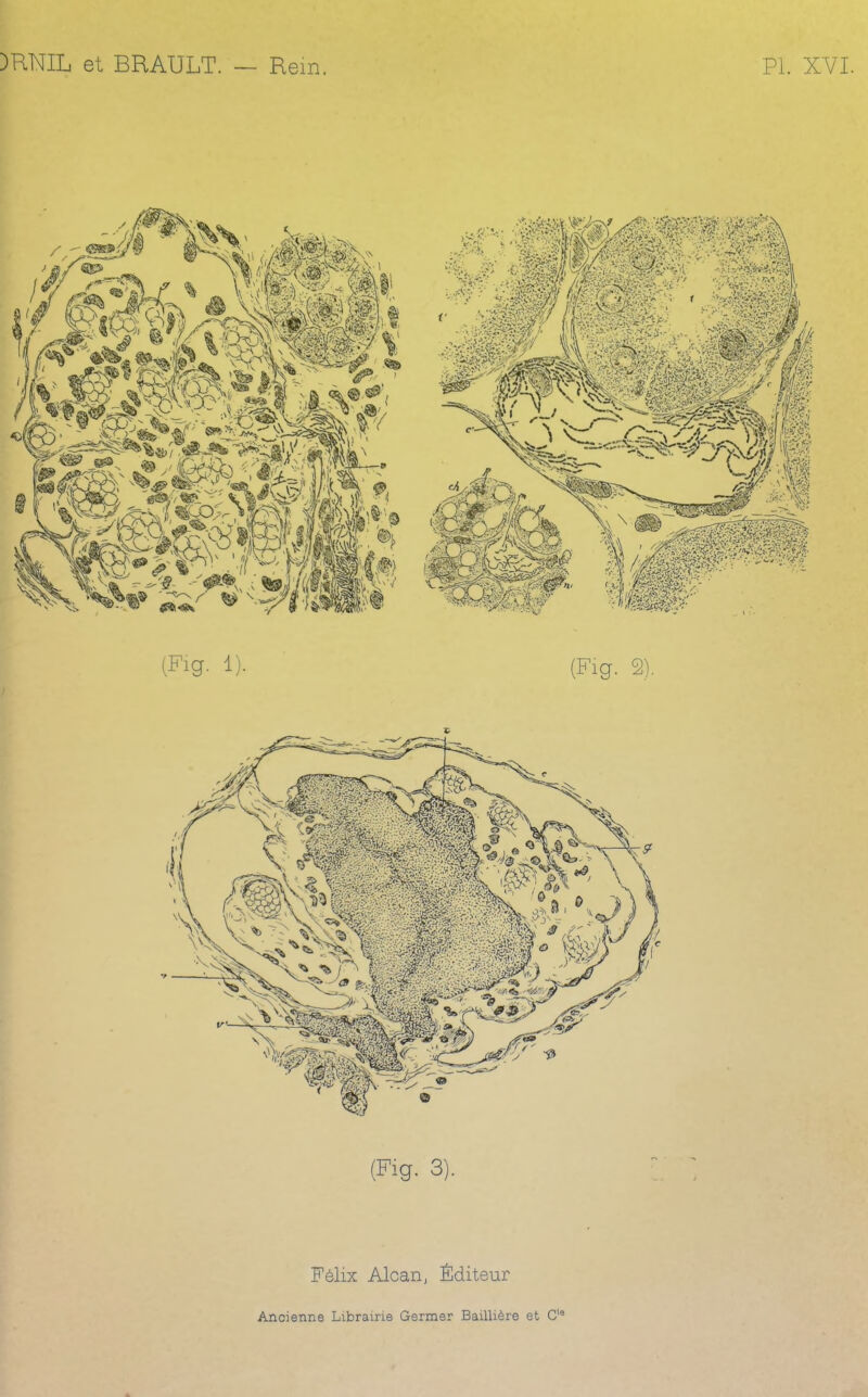 (Fig. 3). Félix Alcan, Éditeur Ancienne Librame Germer BailUère et