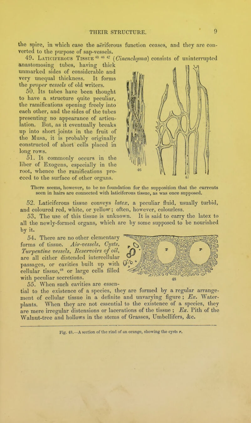 the spire, in which ease the aeriferous function ceases, and they are con- verted to the purpose of sap-vessels. 49. Laticiferous Tissue ^ (Cincnc%ma) consists of uninterrupted anastomosing tubes, having thick unmarked sides of considerable and very unequal thickness. It forms ill U'l the proper vessels of old writers. 50. Its tubes have been thouofht to have a structure quite peculiar, the ramifications opening freely into each other, and the sides of the tubes presenting no appearance of articu- lation. But, as it eventually breaks up into short joints in the fruit of the Musa, it is probably originally constructed of short cells placed in long rows. 51. It commonly occurs in the liber of Exogens, especially in the root, whence the ramifications pro- ceed to the surface of other orsrans. There seems, however, to be no foundation for the supposition that the cuiTents seen in hairs are connected with laticiferous tissue, as was once supposed. 52. Laticiferous tissue conveys latex, a peculiar fluid, usually turbid, and coloured red, white, or yellow; often, however, colourless. 53. The use of this tissue is unknown. It is said to carry the latex to all the newly-formed organs, which are by some supposed to be nourished hy it. 54. There are no other elementary forms of tissue. Air-vessels, Cysts, Turpentine vessels, Reservoirs of oil, are all either distended intercellular passages, or cavities built up with cellular tissue,^ or large cells filled with peculiar secretions. 55. When such cavities are essen- tial to the existence of a species, they are formed by a regular arrange- ment of cellular tissue in a definite and unvarying figm-e ; Ex. Water- plants. When they are not essential to the existence of a species, they are mere irregular distensions or lacerations of the tissue ; Ex. Pith of the Walnut-tree and hollows in the stems of Grasses, Umbellifers, <fec. 48 Fig. 48.—A section of the rind of an orange, showing the cysts r.