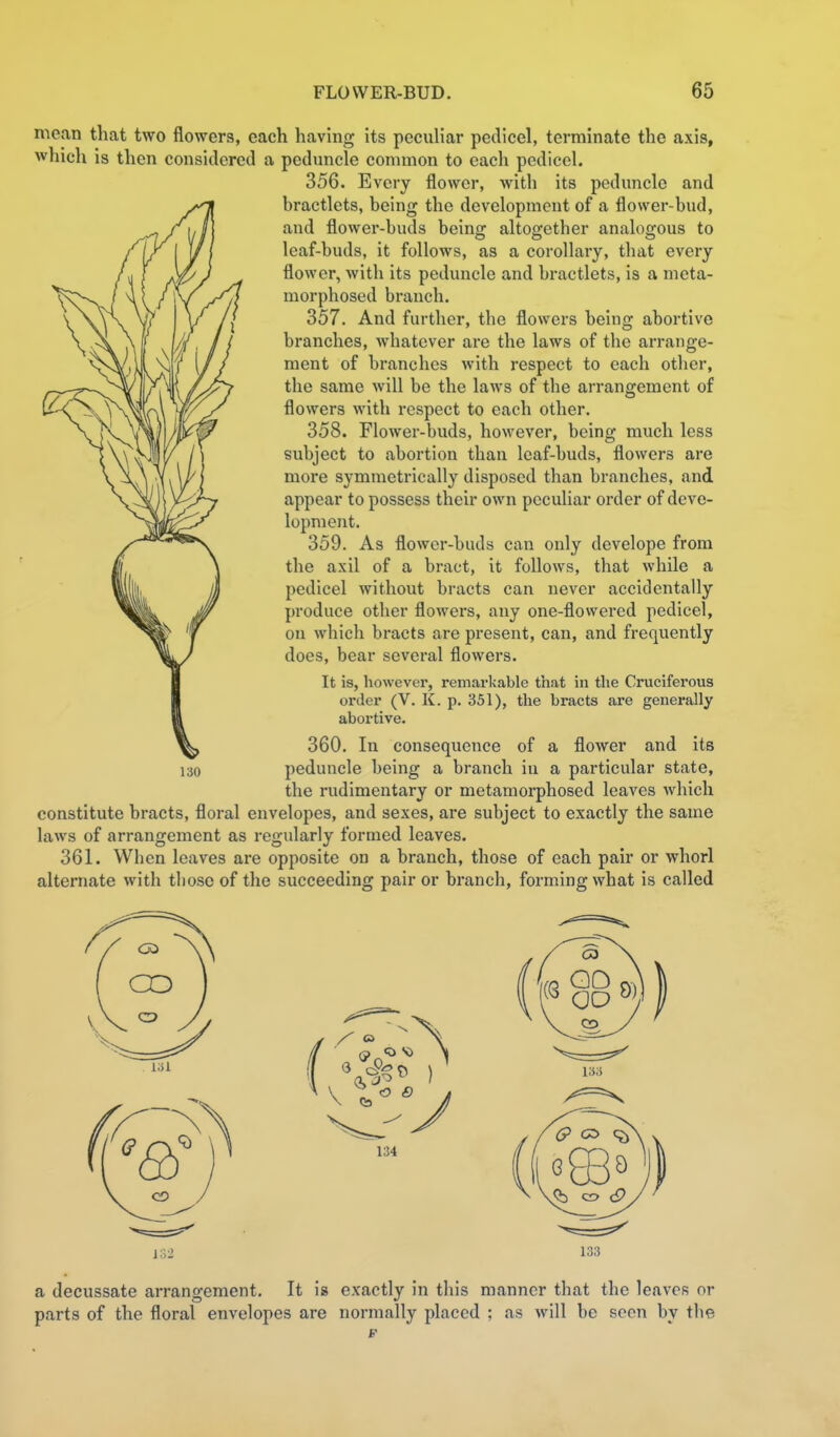 mean that two flowers, each having its peculiar pedicel, terminate the axis, which is then considered a peduncle common to each pedicel. 356. Every flower, Avith its peduncle and bractlets, being the development of a flower-bud, and flower-buds being altogether analogous to leaf-buds, it follows, as a corollary, that every flower, with its peduncle and bractlets, is a meta- morphosed branch. 357. And further, the flowers being abortive branches, whatever are the laws of the arrange- ment of branches with respect to each otlier, the same Avill be the laws of the arrangement of flowers with respect to each other. 358. Flower-buds, however, being much less subject to abortion than leaf-buds, flowers are more symmetrically disposed than branches, and appear to possess their own peculiar order of deve- lopment, 359. As flower-buds can only develope from the axil of a bract, it follows, that while a pedicel without bracts can never accidentally produce other flowers, any one-flowered pedicel, on which bracts are present, can, and frequently does, bear several flowers. It is, however, remarkable that in the Cruciferous order (V. K. p. 351), the bracts are generally abortive. 360. In consequence of a flower and its 130 peduncle being a branch in a particular state, the rudimentary or metamoiphosed leaves which constitute bracts, floral envelopes, and sexes, are subject to exactly the same laws of arrangement as regularly formed leaves. 361. When leaves are opposite on a branch, those of each pair or whorl alternate with those of the succeeding pair or branch, forming what is called 134 a decussate arrangement. It is exactly in this manner that the leaves or parts of the floral envelopes are normally placed ; as will be seen by the