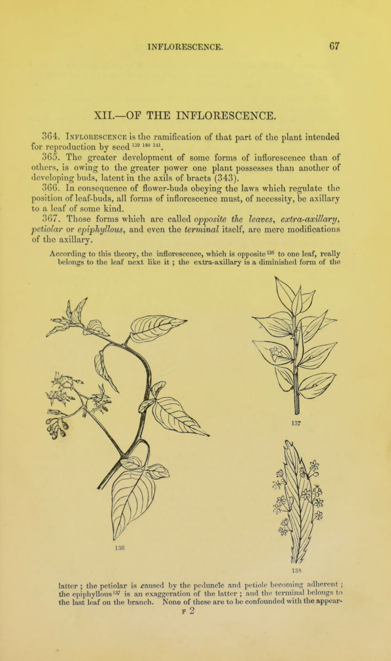 INFLORESCENCE. C7 XII.—OF THE INFLORESCENCE. 364. Inflorescence is the ramification of that part of the plant intended for reproduction by seed 365. The greater development of some forms of inflorescence than of others, is owing to the greater power one plant possesses than another of developing buds, latent in the axils of bracts (343). 366. In consequence of flower-buds obeying the laws which regulate the position of leaf-buds, all forms of inflorescence must, of necessity, be axillary to a leaf of some kind. 367. Those forms which are called opposite the leaves, extra-axillary, petiolar or epiphyllous, and even the terminal itself, are mere modifications of the axillary. According to this theory, the inflorescence, which is opposite to one leaf, really belongs to the leaf next like it ; tlie extra-axillary is a diminished foim of the latter ; the petiolar is caused by the peduncle and petiole becoming adhei-ent ; the epiphyllous? is an exaggeration of the latter ; and the terminal belongs to the last leaf on the branch. None of these are to bo confounded with the appear- F 2