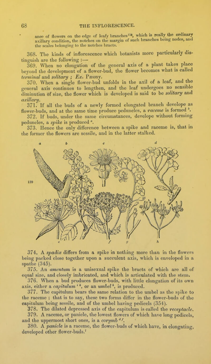 ance of flowei-s on the edge of leafy branches'^8, wliich is really the ordinary axillary condition, the notches on the margin of such branches bemg nodes, and the scales belonging to the notches bracts. 368. The kinds of inflorescence which hotanists more particularly dis- tino-uish are the following :— 369. When no elongation of the general axis of a plant takes place beyond the development of a flower-bud, the flower becomes what is called terminal and solitary ; Ex. Pjeony. 370. When a single flower-bud unfolds in the axil of a leaf, and the general axis continues to lengthen, and the leaf undergoes no^ sensible diminution 6f size, the flower which is developed is said to be solitary and axillary. 371. If all the buds of a newly formed elongated branch develope as flower-buds, and at the same time produce peduncles, a raceme is formed *. 372. If buds, under the same circumstances, develope without forming peduncles, a spike is produced 373. Hence the only ditfcrence between a spike and raceme is, that in the former the flowers are sessile, and in the latter stalked. a b c 374. A spadix differs from a spike in nothing more than in the flowers being packed close together upon a succulent axis, which is enveloped in a spathe (345). 375. An amentum is a unisexual spike the bracts of which are all of equal size, and closely imbricated, and which is articulated with the stem. 376. When a bud produces flower-buds, with little elongation of its own axis, either a capitulum ' *, or an umhel'', is produced. 377. The capitulum bears the same relation to the umhel as the spike to the raceme ; that is to say, these two forms diftcr in the flower-buds of the capitulum being sessile, and of the umbel having pedicels (354). 378. The dilated depressed axis of the capitulum is called the receptacle. 379. A raceme, or panicle, the lowest flowers of which have long pedicels, and the uppermost short ones, is a corymb 380. A panicle is a raceme, the flower-buds of which have, in elongating, developed other flower-buds.'