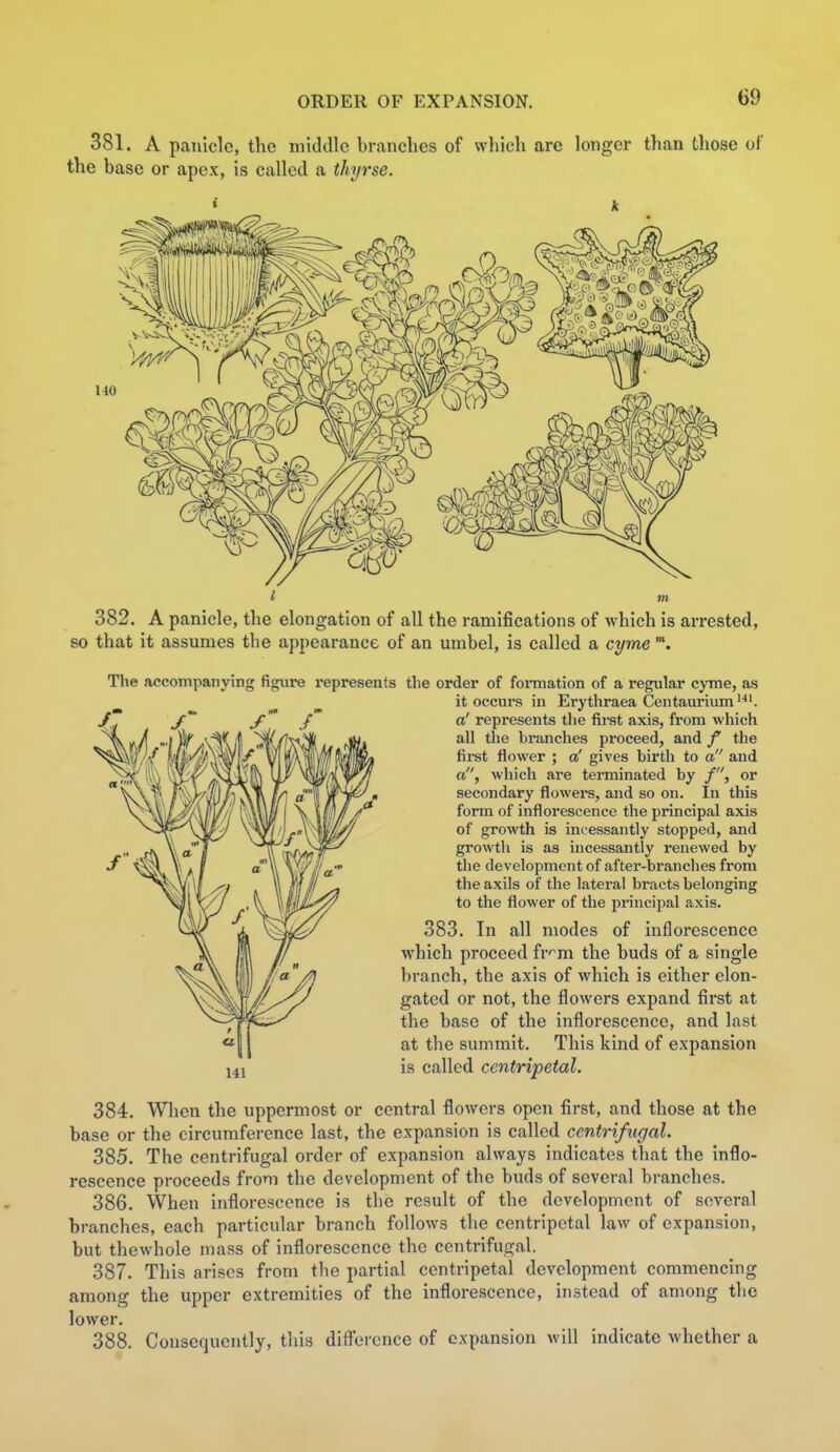 381. A panicle, the middle branches of which are longer than those of the base or apex, is called a thyrse. k 382. A panicle, the elongation of all the ramifications of which is arrested, so that it assumes the appearance of an umbel, is called a cyme The accompanying figure represents the order of fonnation of a regular cyme, as it occurs in Erythraea Centaurium'^'. a' represents the fii-st axis, from which all the branches proceed, and f the first flower ; a' gives birth to a and a, which are terminated by /, or secondary flowers, and so on. In this form of inflorescence the principal axis of growth is incessantly stopped, and growth is as incessantly renewed by the development of after-branches from the axils of the lateral bracts belonging to the flower of the principal axis. 383. In all modes of inflorescence which proceed fr'^m the buds of a single branch, the axis of which is either elon- gated or not, the flowers expand first at the base of the inflorescence, and last at the summit. This kind of expansion is called centripetal. 384. When the uppermost or central flowers open first, and those at the base or the circumference last, the expansion is called centrifugal. 385. The centrifugal order of expansion always indicates that the inflo- rescence proceeds from the development of the buds of several branches. 386. When inflorescence is the result of the development of several branches, each particular branch follows the centripetal law of expansion, but thewhole mass of inflorescence the centrifugal. 387. This arises from the partial centripetal development commencing among the upper extremities of the inflorescence, instead of among the lower. 388. Consequently, this diflorcnce of expansion will indicate whether a