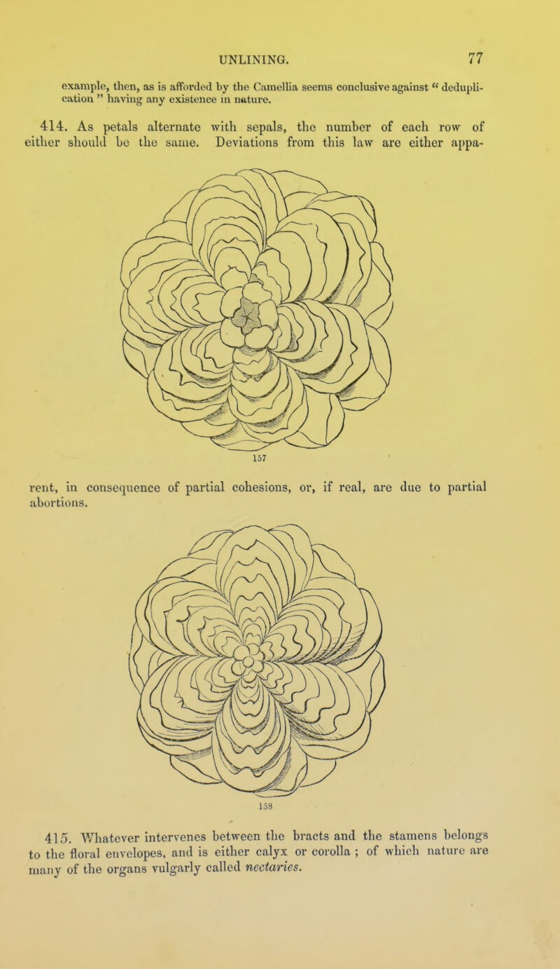 UNLINING. example, then, as is afforded by the Camellia seems conclusive against  dedupli- catiou  having any existence m nature. 414. As petals alternate with sepals, the numher of each row of either shoukl be the same. Deviations from this law are either appa- 157 rent, in consequence of partial cohesions, or, if real, are due to partial abortions. 158 415. Whatever intervenes between the bracts and the stamens belongs to the floral envelopes, and is either calyx or corolla ; of which nature are many of the organs vulgarly called nectaries.