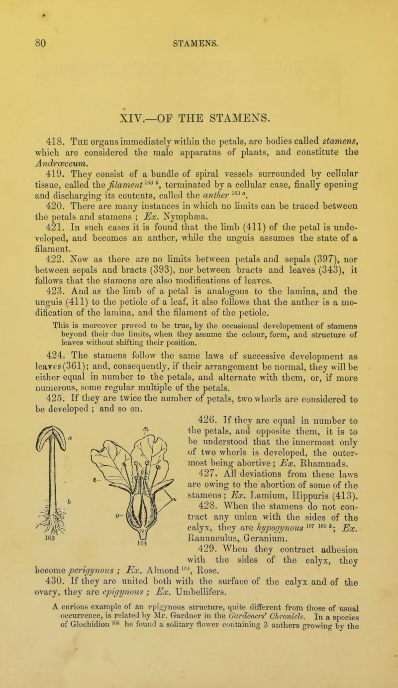 XIV.—OF THE STAMENS. 418. The organs immediately within the petals, are bodies called stamens, which are considered the male apparatus of plants, and constitute the Andrceceum. 419. They consist of a bundle of spiral vessels surrounded by cellular tissue, called the filament '^ *, terminated by a cellular ease, finally opening and discharging its contents, called the anther '^ 420. There are many instances in which no limits can be traced between the petals and stamens ; Ex. Nympha!a. 421. In such cases it is found that the limb (411) of the petal is unde- veloped, and becomes an anther, while the unguis assumes the state of a filament. 422. Now as there are no limits between petals and sepals (397), nor between sepals and bracts (393), nor between bracts and leaves (343), it follows that the stamens are also modifications of leaves. 423. And as the limb of a petal is analogous to the lamina, and the imguis (411) to the petiole of a leaf, it also follows that the anther is a mo- dification of the lamina, and the filament of the petiole. This is moreover proved to be true, by the occasional developement of stamens beyond their due limits, when they assume the colour, fomi, and structure of leaves without shifting their position. 424. The stamens follow the same laws of successive development as leavcs(361); and, consequently, if their arrangement be normal, they will be either equal in number to the petals, and alternate with them, or, if more numerous, some regular multiple of the petals. 425. If they are twice the number of petals, two whorls are considered to be developed ; and so on. 426. If they are equal in number to f' the petals, and opposite them, it is to 'T he understood that the innermost only \ L<Y two whorls is developed, the outer- \fi^i most being abortive; Ex. Rhamnads. Lpiy r j 427. All deviations from these laws mw^^ are owing to the abortion of some of the T%[ \c stamens; Ex. Lamium, llippuris (413). A m^''^ ^^^^^'^ the stamens do not con- \\m tract any union with the sides of the calyx, avQ ht/pogynous^^''Ex. Ranunculus, Geranium. 429. When they contract adhesion with the sides of the calyx, they become perigynous ; Ex. Ahnond Rose. 430. If they are united both with the surface of the calyx and of the ovary, they are epigyyioits : Ex. Umbellifers. A curious example of an epij^ynous structure, quite different from those of usual occurrence, is related by M r. Gardner in the Gardeners' Chronicle. In a species of Glocliidion '^^ he found a sohtary flower containing 3 anthers gi'owing by the 163