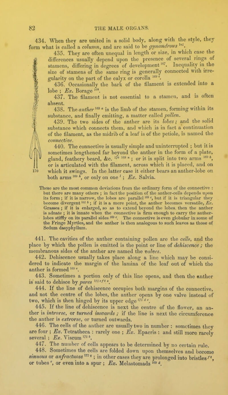 434. When they are united in a solid body, along with the style, they form what is called a column, and are said to be gynandrovs 435. They are often unequal in length or size, in which case the differences usually depend upon the presence of several rings of stamens, differing in degrees of development '^ Inequality in the size of stamens of the same ring is generally connected with irre- gularity on the part of the calyx or corolla '^ *. 436. Occasionally the bark of the filament is extended into a lobe ; Ex. Borage 437. The filament is not essential to a stamen, and is often absent. 438. The mither^^'^ is the limb of the stamen, forming within its substance, and finally emitting, a matter called pollen. 439. The two sides of the anther are its lobes; and the solid substance which connects them, and which is in fact a continuation of the filament, as the midrib of a leaf is of the petiole, is named the connective. 440. The connective is usually simple and uninterrupted ; but it is sometimes lengthened far beyond the anther in the form of a plate, gland, feathery beard, <fec.  ; or it is split into two arms '^ *, or is articulated with the filament, across which it is placed, and on 1^0 which it swings. In the latter case it either bears an anther-lobe on both arms *, or only on one ' ; Ex. Salvia. These are the most common deviations from the ordinary form of the connective : but there are many others ; in facttlie position of the anther-cells depends upon its form ; if it is narrow, the lobes are parallel '^ % but if it is triangular they become divergent * ; if it is a mere point, the anther becomes versatile, Kv. Grasses ; if it is enlarged, so as to extend beyond the lobes, then the anther is adnate ; it is innate when the connective is firm enough to carry the anther- lobes stiffly on its parallel sides '^ The connective is even globular in some of the Fringe Myrtles, and the anther is then analogous to such leaves as those of Sedum dasyphyllum. 441. The cavities of the anther containing pollen are the cells, and the place by which the pollen is emitted is the point or line of dehiscence ; the membranous sides of the anther are named the valves. 442. Dehiscence usually takes place along a line which may be consi- dered to indicate the margin of the lamina of the leaf out of which the anther is formed 443. Sometimes a portion only of this line opens, and then the ftnther is said to dehisce by pores ». 444. If the line of dehiscence occupies both margins of the connective, and not the centre of the lobes, the anther opens by one valve instead of two, which is then hinged by its upper edge'- 445. If the line of dehiscence is next the centre of the flower, an an- ther is introrse, or turned inwards ; if the line is next the circumference the anther is extrorse, or turned outwards. 446. The cells of the anther are usually two in number : sometimes they are four ; Ex. Tetratheca : rarely one ; Ex. Epacris : and still more rarely several ; Ex. Viscum *. 447. The nuinber of cells appears to be determined by no certain rule. 448. Sometimes the cells are folded down upon themselves and become sinuous or anfractuose '; in other cases they are prolonged into bristles-''*, or tubesor even into a spur ; Ex. Melastomads '^^