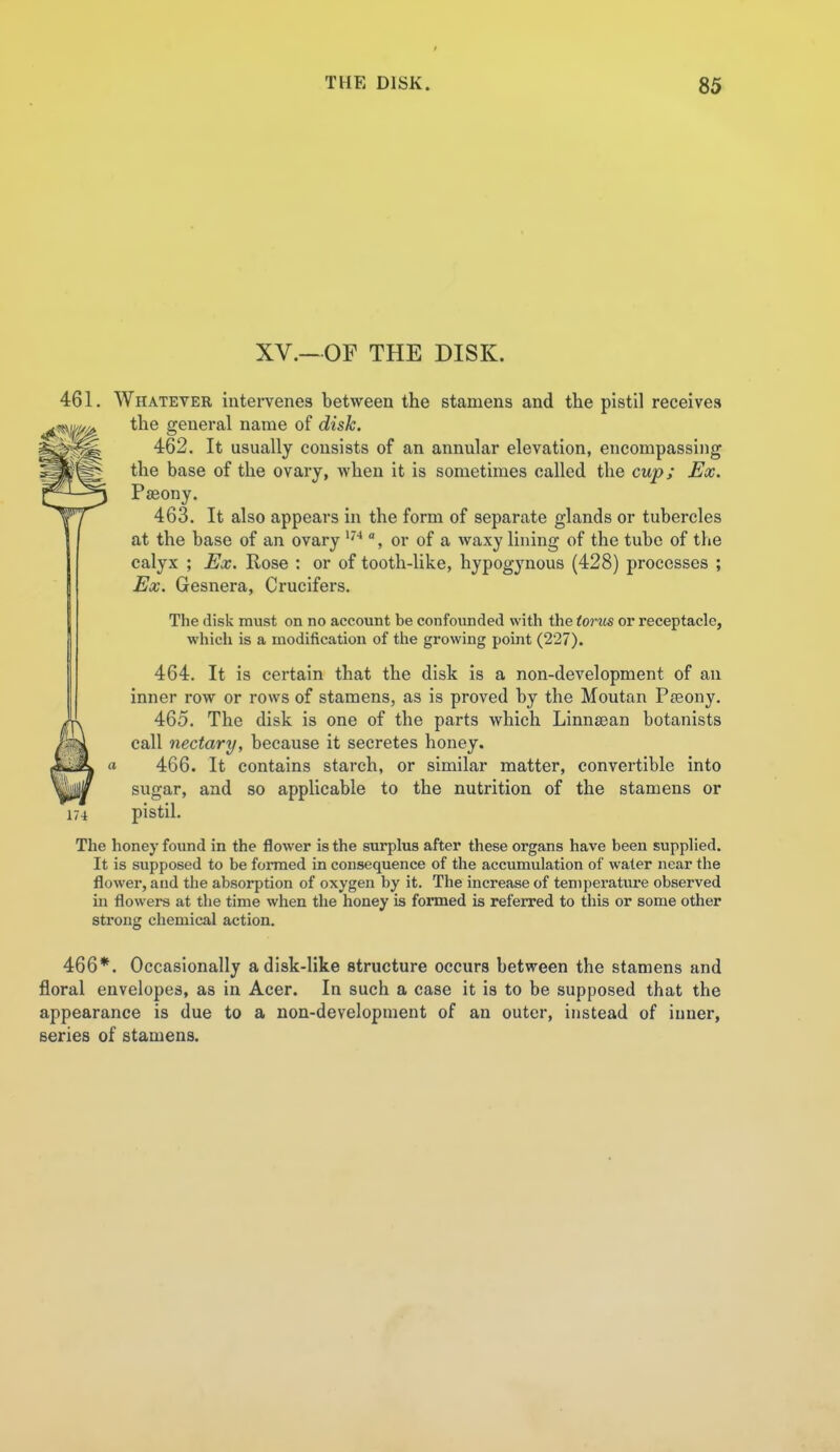 XV.-OF THE DISK. 461. Whatever intervenes between the stamens and the pistil receives the general name of disk. 462. It usually consists of an annular elevation, encompassing the base of the ovary, when it is sometimes called the cup; Ex. Pseony. 463. It also appears in the form of separate glands or tubercles at the base of an ovary , or of a waxy lining of the tube of the calyx ; Ex. Rose : or of tooth-like, hypogynous (428) processes ; Ex. Gesnera, Crucifers. The disk must on no account be confounded with the torm or receptacle, whicli is a modification of the growing point (227). 464. It is certain that the disk is a non-development of an inner row or rows of stamens, as is proved by the Moutan Pfeony. 465. The disk is one of the parts which Linnaean botanists call nectary, because it secretes honey. 466. It contains starch, or similar matter, convertible into sugar, and so applicable to the nutrition of the stamens or 174 pistiL The honey found in the flower is the surplus after these organs have been supplied. It is supposed to be fonned in consequence of the accumulation of water near the flower, and the absorption of oxygen by it. The increase of teniperatiu'e observed ui flowers at the time when the honey is formed is referred to this or some other strong chemical action. 466*. Occasionally a disk-like structure occurs between the stamens and floral envelopes, as in Acer. In such a case it is to be supposed that the appearance is due to a non-development of an outer, instead of inner, series of stamens.