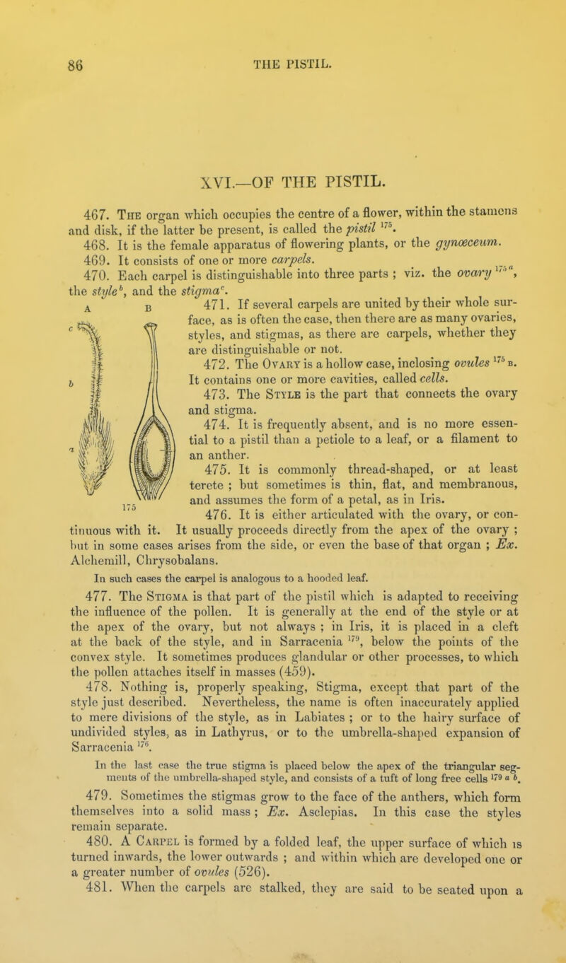 XVI.—OF THE PISTIL. B 175 tiiuious with it. 467. The organ which occupies the centre of a flower, within the stamens and disk, if the latter be present, is called the pistil ''^ 468. It is the female apparatus of flowering plants, or the gynoeceum. 469. It consists of one or more carpels. 470. Each carpel is distinguishable into three parts ; viz. the ovary the style'', and the stigma''. 471. If several carpels are united by their whole sur- face, as is often the case, then there are as many ovaries, styles, and stigmas, as there are carpels, whether they are distinguishable or not. 472. The Ovary is a hollow case, inclosing ovules b. It contains one or more cavities, called cells. 473. The Style is the part that connects the ovary and stigma. 474. It is fi-equently absent, and is no more essen- tial to a pistil than a petiole to a leaf, or a filament to an anther. 475. It is commonly thread-shaped, or at least terete ; but sometimes is thin, flat, and membranous, and assumes the form of a petal, as in Iris. 476. It is either articulated with the ovary, or con- It usually proceeds directly from the apex of the ovary ; hut in some cases arises from the side, or even the base of that organ ; Ex. Alcheraill, Chrysobalans. In such cases the carpel is analogous to a hooded leaf. 477. The Stigma is that part of the pistil which is adapted to receiving the influence of the pollen. It is generally at the end of the style or at the apex of the ovary, but not always ; in Iris, it is placed in a cleft at the back of the style, and in Sarracenia below the points of the convex style. It sometimes produces glandular or other processes, to which the pollen attaches itself in masses (459). 478. Nothing is, properly speaking, Stigma, except that part of the style just described. Nevertheless, the name is often inaccurately applied to mere divisions of the style, as in Labiates ; or to the hairy surface of undivided styles, as in Lathyrus, or to the umbrella-shaped expansion of Sarracenia In the last case the true stigma is placed below the apex of the triangular seg- ments of the umbrella-shaped style, and consists of a tuft of long free cells ''^  *. 479. Sometimes the stigmas grow to the face of the anthers, which form themselves into a solid mass ; Ex. Asclepias. In this case the styles remain separate. 480. A Carpel is formed by a folded leaf, the upper surface of which is turned inwards, the lower outwards ; and within which are developed one or a greater number of ov/tles (526). 481. When the carpels arc stalked, they are said to be seated upon a