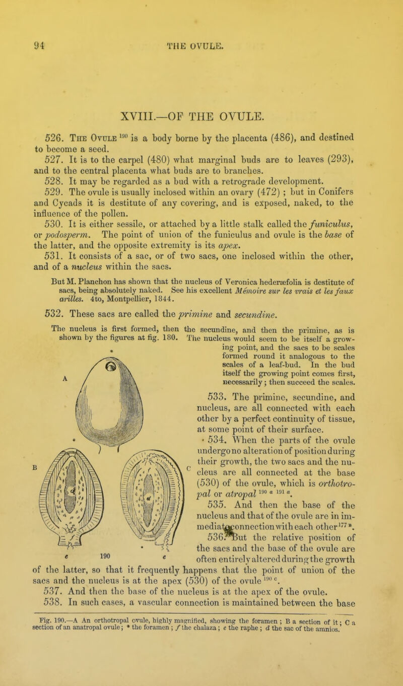 XVIII.—OP THE OVULE. 526. The Ovule is a body borne by the placenta (486), and destined to become a seed. 527. It is to the carpel (480) what marginal buds are to leaves (293), and to the central placenta what buds are to branches, 528. It may be regarded as a bud with a retrograde development. 529. The ovule is usually inclosed within an ovary (472) ; but in Conifers and Cycads it is destitute of any covering, and is exposed, naked, to the influence of the pollen. 530. It is either sessile, or attached by a little stalk caXled the funiculus, or podosperm. The point of union of the funiculus and ovule is the base of the latter, and the opposite extremity is its apex. 531. It consists of a sac, or of two sacs, one inclosed within the other, and of a nucleus within the sacs. But M. Planchon has shown that the nucleus of Veronica hedersefolia is destitute of sacs, being absolutely naked. See his excellent Memoire sur les vrais et Us faux anlles. 4to, Montpellier, 1844. 532. These sacs are called the primine and secundine. The nucleus is first formed, then the secundine, and then the primine, as is shown by the figures at fig. 180. The nucleus would seem to be itself a grow- ing point, and the sacs to be scales foimed round it analogous to the scales of a leaf-bud. In the bud itself the growing point comes first, necessarily; then succeed the scales. 533. The primine, secundine, and nucleus, are all connected with each other by a perfect continuity of tissue, at some point of their surface. • 534. When the parts of the ovule undergono alteration of position during their growth, the two sacs and the nu- ^ cleus are all connected at the base (530) of the ovule, which is ortJiotro- pal or atropal « °. 535. And then the base of the nucleus and that of the ovule are in im- mediatflconnection with each other ^'^. 536.jBut the relative position of the sacs and the base of the ovule are often entirely altered during the growth of the latter, so that it frequently happens that the point of union of the sacs and the nucleus is at the apex (530) of the ovule ^. 537. And then the base of the nucleus is at the apex of the ovule. 538. In such cases, a vascular connection is maintained between the base ¥ig. 190.—A An orthotropal ovule, hichly mticrnificd, showing the foramen ; B a section of it • C section of an anatropal ovule; • the foramen ; / the chalaza; e the raphe ; d the sac of the amnios.'