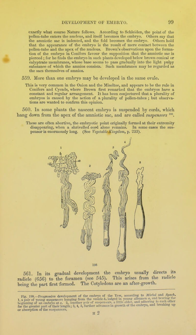 exactly what course Nature follows. According to Schleiden, the point of the pollen-tube enters the niiflous, and itself becomes the embryo. Others say that the amniotic sac is indented, and the fold becomes the embryo. Others hold that the appearance of the embi-yo is the result of mere contact between the pollen-tube and the apex of the nucleus. Brown's observations upon the forma- tion of the embryo in Conifers favour the supposition that the amniotic sac is pierced ; for he finds the embryo in such plants developed below brown conical or calyptrate membranes, whose base seems to pass gradually into the light pulpy substance of which the amnios consists. Such membranes may be regarded us the sacs themselves of amnios. 559. More than one embryo may be developed in the same ovule. This is very common in the Onion and the Miseltoe, and appears to be the rule in Conifers and Cycads, where Brown first remarked that the embryos have a constant and regular aiTangement. It has been conjectured that a plurality of embryos is caused by the action of a plurality of pollen-tubes ; but observa- tions are wanted to confirm this opinion. 560. In some plants the nascent embryo is suspended by cords, which liang down from the apex of the amniotic sac, and are called suspensors These are often abortive, the embryotic point originally formed at their extremity disappearing, wlien a shrivelled covd alone i-emains. In some cases the sus- peusor is euoiTuously long. (See Vegetable Kingdom, 233). 198 561. In its gradual development the embryo usually directs its radicle (656) to the foramen (see 545). This arises from the radicle being the part first formed. The Cotyledons are an after-growth. Fie. 198.—Pi-oaressive development of the embryo of the Yew, according to Mirbd and Spach. 1, a pair of yonng suspensors hanging from the vesicle b, lodged in young albiunon a, .nd bonnug Uie beginning of an embryo at c. 2, Another p .ir of suspensors, a little aldor and f^ovmu: to each other for the greater part ofthoir length; 3, 4, 5, further advances in gi-owth of the embryo, and breaking up or absorption of the svispensoi-s, n 2