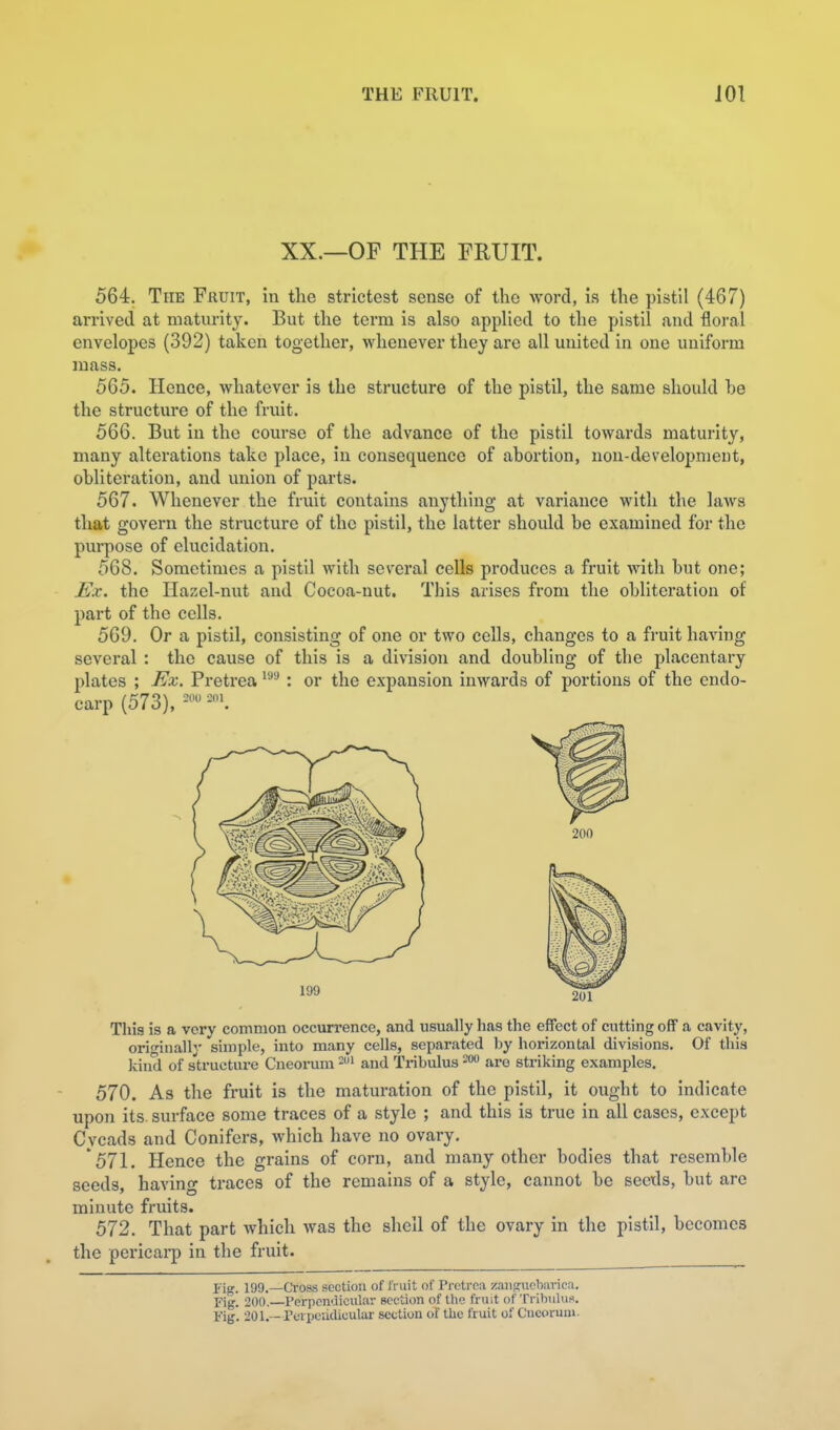 THE FRUIT. JOl XX.—OF THE FRUIT. 564. The Fhuit, in the strictest sense of the word, is the pistil (467) arrived at maturity. But the term is also applied to the pistil and floral envelopes (392) taken together, whenever they are all united in one uniform mass. 565. Hence, whatever is the structure of the pistil, the same should be the structure of the fruit. 566. But in the course of the advance of the pistil towards maturity, many alterations take place, in consequence of abortion, non-development, obliteration, and union of parts. 567. Whenever the fruit contains anything at variance with the laws that govern the structure of the pistil, the latter should be examined for the purpose of elucidation. 568. Sometimes a pistil with several cells produces a fruit with but one; Ex. the Hazel-nut and Cocoa-nut. This arises from the obliteration of part of the cells. 569. Or a pistil, consisting of one or two cells, changes to a fi'uit having several : the cause of this is a division and doubling of the placentary plates ; Ex. Pretrea ^^'^: or the expansion inwards of portions of the endo- carp (573), This is a very common occurrence, and usually has the effect of cutting off a cavity, originally simple, into many cells, separated by horizontal divisions. Of this kind of s'tructure Cneorum and Tribulus are striking examples. 570. As the fi'uit is the maturation of the pistil, it ought to indicate upon its surface some traces of a style ; and this is true in all cases, except Cycads and Conifers, which have no ovary. 571. Hence the grains of corn, and many other bodies that resemble seeds, having traces of the remains of a style, cannot be secils, but are minute fruits. 572. That part which was the shell of the ovary in the pistil, becomes the pericai-p in the fruit. Fig. 199,—Cross section of tVuit of Pretrea zaiipruoburica. Fig. 200. Perpendicular section of the fruit of Trihuhi.-'. Fig. 201.—Pcrijcadiculur section of tlie fruit of Cucoruiu.