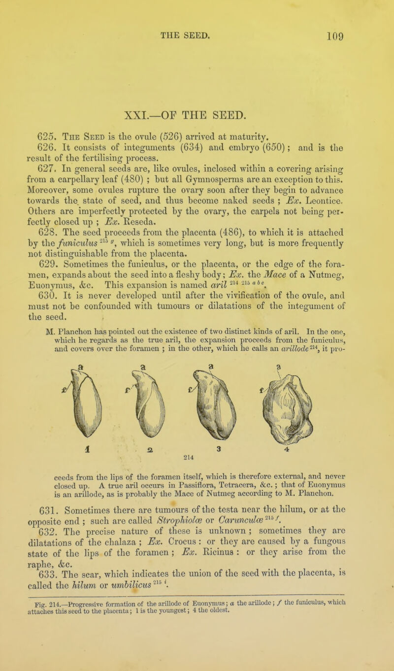 XXI.—OF THE SEED. 625. The Seed is the ovule (526) arrived at maturity, 626. It consists of integuments (634) and embryo (650); and is the result of the fertilising process. 627. In general seeds are, like ovules, inclosed within a covering arising from a carpellary leaf (480) ; hut all Gymnosperras are an exception to this. Moreover, some ovules rupture the ovary soon after they begin to advance towards the state of seed, and thus become naked seeds ; Ex. Leontice. Others are imperfectly protected by the ovary, the carpels not being per- fectly closed up ; Ex. Reseda. 628. The seed proceeds from the placenta (486), to which it is attached by the funiculus '^'^which is sometimes very long, but is moi'e frequently not distinguishable from the placenta. 629. Sometimes the funiculus, or the placenta, or the edge of the fora- men, expands about the seed into a fleshy body; Ex. the Mace of a Nutmeg, Euonymus, &c. This expansion is named aril -^^ 630. It is never developed until after the vivification of the ovule, and must not be confounded with tumours or dilatations of the integument of the seed. M. Planchon has pointed out the existence of two distinct kinds of ai'il. In the one, which he regai'ds as the true aril, the expansion proceeds from the funicukis, and covers over the foramen ; in the othei', which he calls an arillode it pro- 214 ceeds from the lips of the foramen itself, which is therefore external, and never closed up. A true aril occurs in Passiflora, Tetracera, &c,; that of Euonymus is an arillode, as is probably the Mace of Nutmeg according to M. Planchon. 631. Sometimes there are tumours of the testa near the hilura, or at the opposite end ; such are called Strophiolce or Carunculce 632. The precise nature of these is unknown ; sometimes they arc dilatations of the chalaza ; Ex. Crocus : or they are caused by a fungous state of the lips of the foramen ; Ex. Ricinus : or they arise from the raphe, &c. 633. The scar, which indicates the union of the seed with the placenta, is called the hilum or umbilicus Fig. 214.—Progressive formation of the arillode of Euonymiw; a the arillode; / tlie funiculus, which attaches this seed to the placenta; I is the youngest; 4 the oldest.