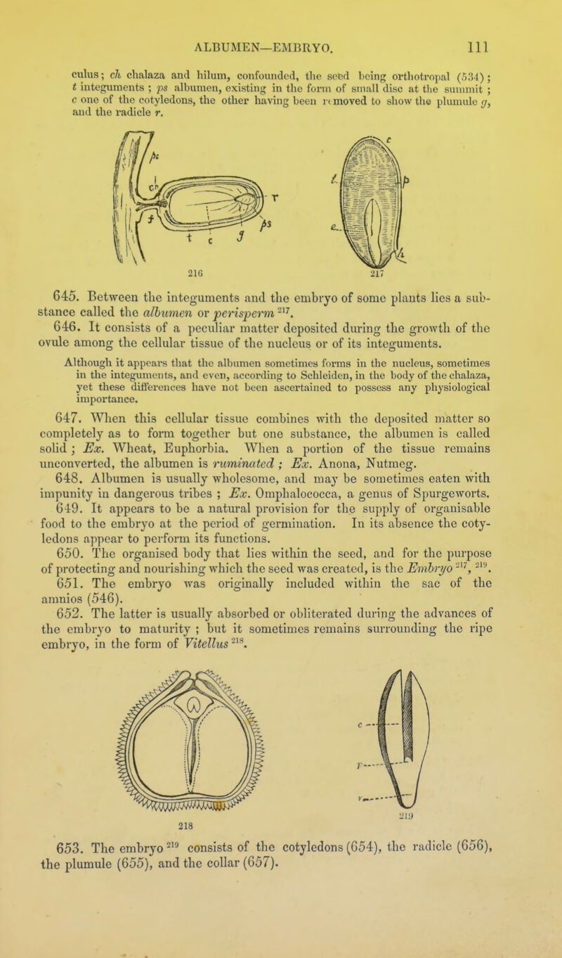 cuius; ch chalaza and hilum, confounded, the seed being orthotropal (534); t integuments ; 'ps albumen, existing in the form of small disc at tlie suumiit ; c one of the cotyledons, the other having been i ( moved to show the plumule g, and the radicle r. 21G 217 645. Between the integuments and the embryo of some plants lies a sub- stance called the albumen or perisperm 646. It consists of a peculiar matter deposited during the growth of the ovule among the cellular tissue of the nucleus or of its integuments. Although it appears that the albumen sometimes forms in the nucleus, sometimes in the integuments, and even, according to Schleiden, in the body of the chalaza, yet these differences have not been ascertained to possess any physiological importance. 647. When this cellular tissue combines with the deposited matter so completely as to form together but one substance, the albumen is called solid ; Ex. Wheat, Euphorbia. When a portion of the tissue remains unconverted, the albumen is ruminated ; Ex. Anona, Nutmeg. 648. Albumen is usually wholesome, and may be sometimes eaten with impunity in dangerous tribes ; Ex. Omphalococca, a genus of Spurgeworts. 649. It appears to be a natural provision for the supply of organisable food to the embryo at the period of germination. In its absence the coty- ledons appear to perform its functions. 650. The organised body that lies within the seed, and for the purpose of protecting and nourishing which the seed was created, is the Emhryo 651. The embryo was originally included within the sac of the amnios (546). 652. The latter is usually absorbed or obliterated during the advances of the embryo to maturity ; but it sometimes remains surrounding the ripe embryo, in the form of Vitellus ■21'.) 218 653. The embryo consists of the cotyledons (654), the radicle (656), the plumule (655), and the collar (657).