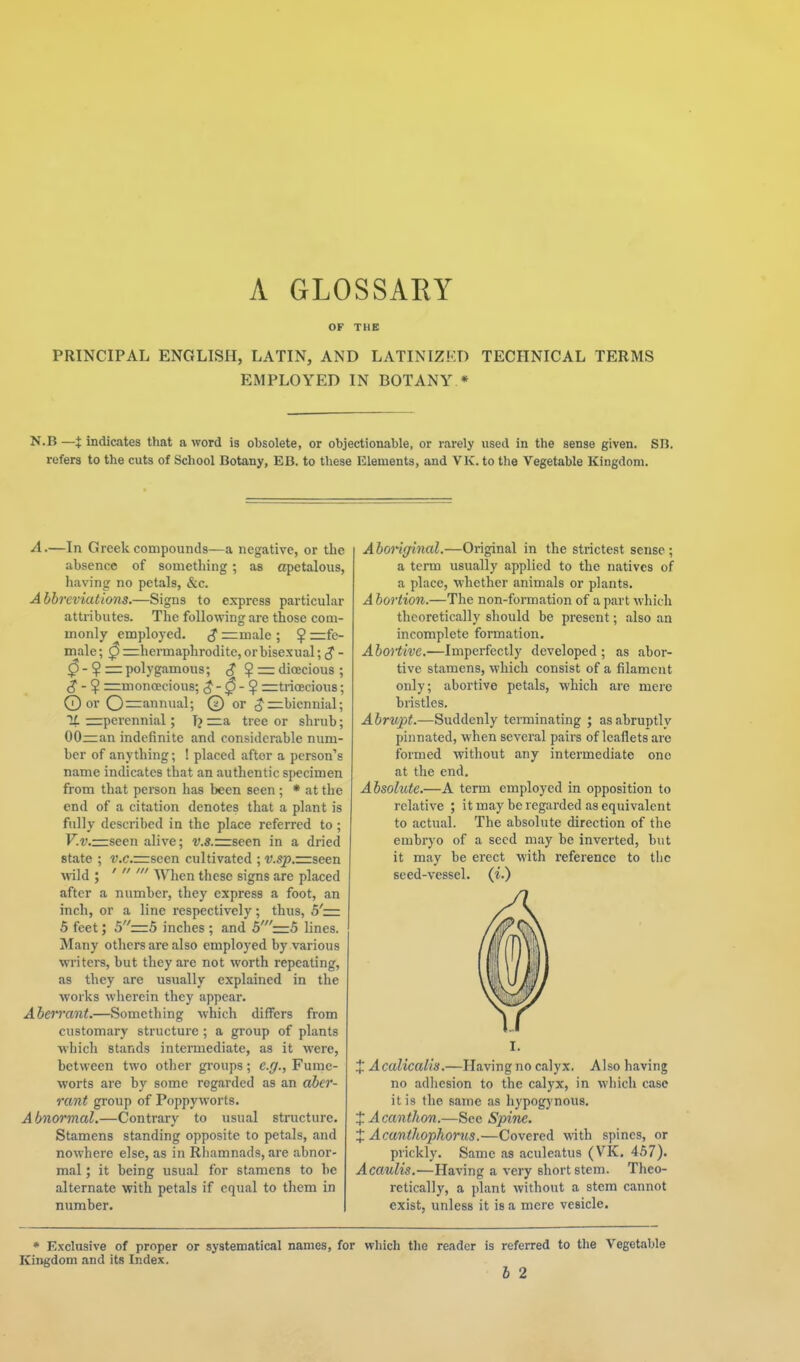 A GLOSSAEY OF THE PRINCIPAL ENGLISH, LATIN, AND LATINIZKT) TECHNICAL TERMS EMPLOYED IN BOTANY * N.B —i indicates that a word is obsolete, or objectionable, or rarely used in the sense given. SB. refers to the cuts of School Botany, EB. to these Elements, and VK. to the Vegetable Kingdom. A.—In Greek compounds—a negative, or the absence of something ; as apetalous, having no petals, &c. Abbreviations.—Signs to express particular attributes. The following are those com- monly employed. <J —male ; $ =fc- male; 0 =ihermaphrodite, or bisexual; ^ - 0-^= polygamous; <? ? = dioecious ; ^ - ? =moncEcious; $-0-^ =rtriceciou8; ©or O—annual; © or ^—biennial; It rrperennial; T? —a. tree or shrub; 00—an indefinite and considerable num- ber of anything; ! placed after a person's name indicates that an authentic specimen from that person has been seen ; * at the end of a citation denotes that a plant is fully described in the place referred to ; F.v.=seen alive; v.s.rzseen in a dried state ; v.c.=:seen cultivated ; v.sp.—seen wld ; '  When these signs are placed after a number, they express a foot, an inch, or a line respectively; thus, 5'= 5 feet; 5=5 inches ; and 5'=r5 lines. Many others are also employed by various writers, but they are not worth repeating, as they are usually explained in the works wherein they appear. Abeii'ant.—Something which differs from customary structure ; a group of plants which stands intermediate, as it were, between two other groups; e.g., Fume- worts are by some regarded as an aber- rant group of Poppyworts. Abnormal.—Contrary to usual structure. Stamens standing opposite to petals, and nowhere else, as in Rhamnads, are abnor- mal ; it being usual for stamens to be alternate with petals if equal to them in number. Aboriginal.—Original in the strictest sense; a term usually applied to the natives of a place, whether animals or plants. A bortion.—The non-formation of a part which theoretically should be present; also an incomplete formation. Abortive.—Imperfectly developed ; as abor- tive stamens, which consist of a filament only; abortive petals, which are mere bristles. Abrtipt.—Suddenly terminating ; as abruptly pinnated, when several pairs of leaflets are formed without any intermediate one at the end. Absolute.—A term employed in opposition to relative ; itmay be regarded as equivalent to actual. The absolute direction of tlie embryo of a seed may be inverted, but it may be erect with reference to the seed-vessel, (i.) I. X Acalicalis.—Having no calyx. Also having no adhesion to the calyx, in which case it is the same as hypog)'nou8. X Acanthon.—See Spine. X Acanihophorus.—Covered with spines, or prickly. Same as aculeatus (VK, 457). Acaulis.—Having a very short stem. Theo- retically, a plant without a stem cannot exist, unless it is a mere vesicle. * Exclusive of proper or systematical names, for which the reader is refeiTed to tlie Vegetable Kingdom and its Index. b 2