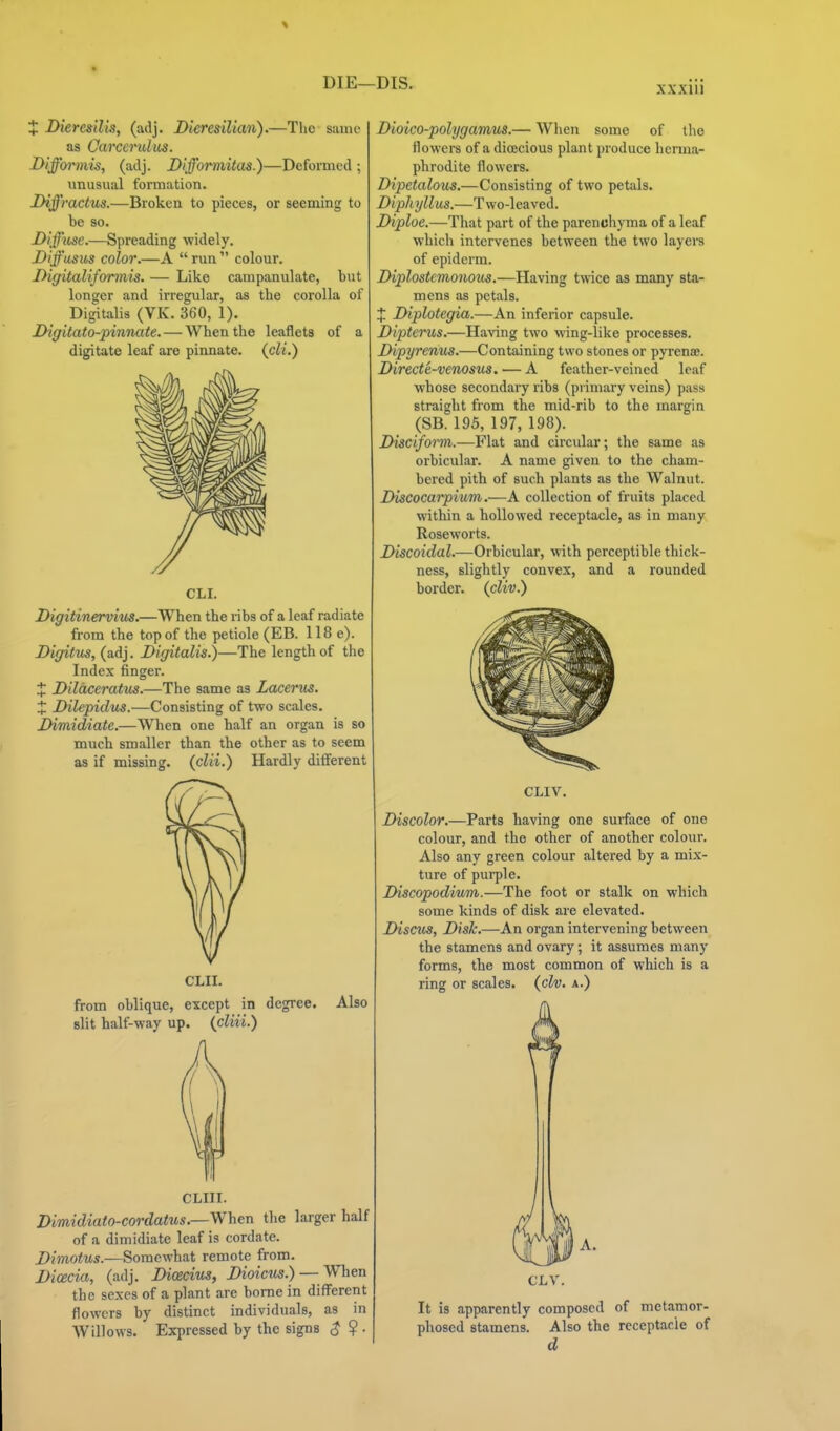 X IHeresilis, (adj. Dieresilian).—The same as Carccrulus. Diffcn'^mis, (adj. Difformitas.)—Deformed ; unusual formation. Diffvactus.—Broken to pieces, or seeming to be so. I^iffiise.—Spreading widely. Diffusus color.—A  run  colour. Diffitalifonnis. — Like campanulate, but longer .md irregular, as the corolla of Digitalis (VK. 360, 1). jy'ig^itato-pinnate. — When the leaflets of a digitate leaf are pinnate, (cli.) CLI. Digitinervius.—When the ribs of a leaf radiate from the top of the petiole (EB. 118 e). Digitus, (adj. Digitalis.)—The length of the Index finger. J Dildceratiis.—The same as Lacerus. X Dilepidus.—Consisting of two scales. Dimidiate.—When one half an organ is so much smaller than the other as to seem as if missing, {clii.) Hardly different CLII. from oblique, except in degree, slit half-way up. {cliii.) Also CLIII. Dimidiato-cordatus.—When the larger half of a dimidiate leaf is cordate. Dimotus.—Somewhat remote from. Dicecia, (.adj. Dioecius, Dioicus.) — Wlien the sexes of a plant are borne in different flowers by distinct individuals, as in Willows. Expressed by the signs $ ? . Dioico-polygamus.— When some of the flowers of a dioecious plant produce hcnna- phrodite flowers. Dipetalous.—Consisting of two petals. Diphyllus.—Two-leaved. Diploe.—That part of the parenchyma of a leaf which intervenes between the two layers of epiderm. Diplostcmonous.—Having twice as many sta- mens as petals. J Diplotegia.—An inferior capsule. Dipterus.—HaAnng two wing-like processes. Dipyrenus.—Containing two stones or pyrena;. Directe-venosus. — A feather-veined leaf whose secondary ribs (primary veins) pass straight from the mid-rib to the margin (SB. 195, 197, 198). Disciform.—Flat and circular; the same as orbicular. A name given to the cham- bered pith of such plants as the Walnut. Discocarpium.—A collection of fruits placed within a hollowed receptacle, as in many Roseworts. Discoidal.—Orbicular, with perceptible thick- slightly convex, and a rounded ness. border, (cliv.) CLIV. Discolor.—Parts having one surface of one colour, and the other of another colour. Also any green colour altered by a mix- ture of purple. Discopodium.—The foot or stalk on which some kinds of disk are elevated. Disciis, Disk.—An organ intervening between the stamens and ovary; it assumes many forms, the most common of which is a ring or scales, {civ. a.) CLV. It is apparently composed of met.amor- phosed stamens. Also the receptacle of d