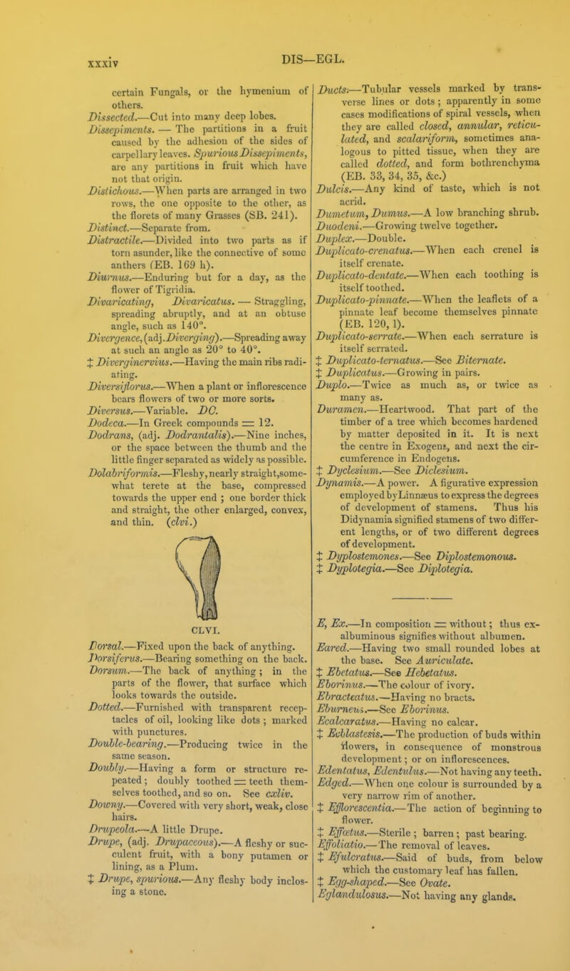 DIS—EGL. certain FungaJs, or the hymenium of others. Dissected.—Cut into many deep lobes. Dissepiments. — The partitions in a fruit caused by the adliesiou of the sides of carpel lary leaves. Sj) unous Dissepimen ts, are any partitions in fruit which have not that origin. Distichous.—Wlien parts are arranged in two rows, the one oj)posite to tlie other, as the florets of many Gi-asses (SB. 241). Distinct.—Separate from. Distractile.—Divided into two parts as if torn asunder, like the connective of some anthers CEB. 169 h). Diwnus.—Enduring but for a day, as the flower of Tigridia. Divaricating, Divai-icatus. — Straggling, spreading abruptly, and at an obtuse angle, such as 140°. Divergence, (ndyDiverging).—Spreading away at such an angle as 20° to 40°. J Divcrginervius.—Having the main ribs radi- ating. Diversifiwus.—When a plant or inflorescence bears flowers of two or more sorts. Diversus.—Variable. DC. Dodcca.—In Greek compounds =r 12. Dodrans, (adj. Dodrantalis).—Nine inches, or tlie space between the thumb and the little finger separated as widely as possible. DolahrifoiTuis.—Fleshy,nearly straight,some- what terete at the base, compressed towards the upper end ; one border thick and straight, the other enlarged, convex, and thin, (clvi.) CLVI. Dorsal.—Fixed upon the back of anything. Jhrsiferus.—Bearing something on the back. Dorsum.—The back of anything; in tlie parts of the flower, that surface which looks towards the outside. Dotted.—Furnished with transparent recep- tacles of oil, looking like dots ; marked with punctures. Double-bearing.—Producing twice in the same season. Doubly.—Ha^ang a form or structure re- peated ; doubly toothed = teeth them- selves toothed, and so on. See cxliv. Downy.—Covered with very short, weak, close hairs. Drupeola—A little Drupe. Drupe, (adj. Drupaceous).—A fleshy or suc- culent fruit, with a bony putamen or lining, as a Plum. X Drupe, spuiiot^s.—Any fleshy body inclos- ing a stone. Ducts:—Tubular vessels marked by trans- verse lines or dots ; apparently in some cases modifications of spiral vessels, when they are called closed, annular, reticu- lated, and scalariform, sometimes ana- logous to pitted tissue, when they are called dotted, and form bothrenchyma (EB. 33, 34, 35, &c.) Dulcis.—Any kind of taste, which is not acrid. Dumetum, Dumus.—A low branching shrub. Duodeni.—Gro-wing twelve together. Du2dex.—Double. Duplicuto-crenatus.—When each crenel is itself crenate. Duplicato-dentate.—When each toothing is itself toothed. Duplicato-pinnate.—When the leaflets of a pinnate leaf become themselves pinnate (EB. 120, 1). Duplicato-serrate.—When each serrature is itself serrated. J Dwplicato-ternatus.—See Bitemate. X Duplicatus.—Growing in pairs. Duplo.—Twice as much as, or twice as many as. Duramen.—Heartwood. That part of the timber of a tree which becomes hardened by matter deposited in it. It is next the centre in Exogeni, and next the cir- cumference in Endogens. X Dyclesium.—See Diclesium, Dynamis.—A power. A figurative expression employed bvLinnaus to express the degrees of development of stamens. Thus his Didynamia signified stamens of two difl^er- ent lengths, or of two diflterent degrees of development. % Dyplostemones.—See Diplostemonous. t Dyplotegia.—See Diplotegia. E, Ex.—In composition — without; thus ex- albuminous signifies without albumen. Eared.—Having two small rounded lobes at the base. See Auriculate. t Ebetatus.—See Hebetatus. Eborinus.—The colour of ivory, Ebracteatm.—Having no bracts. Ebwmeui.—See Eborinus. Ecalcaratu-s.—Having no calcar. + Echlastesis.—The production of buds within ilowers, in consequence of monstrous development; or on inflorescences. Edenlatus, Edentulus.—Not having any teeth. Edged.—When one colour is surrounded by a very nan-ow rim of another. X Efflorescentia.—The action of beginning to flower. t Effcetus.—Sterile ; barren; past bearing. Effoliatio.— The removal of leaves. X Efulcratus.—Said of buds, from below which the customary leaf has fallen, X Egg-shaped.—See Ovate. Eglandulosus.—Not having any glands.