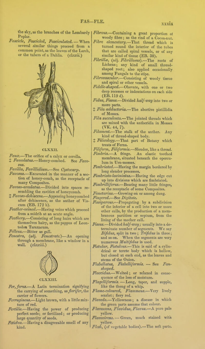FAS—FLE. tlie sky, as the branches of the Lombanly Poplar. Fascicle, Fascicled, Fasciculated. — When several .similar things proceed from a common point, as the leaves of the Larch, or the tubei-s of a Dahlia, {clxxii.) CLXXII. Faux.—The orifice of a calyx or corolla. J Faveolatus.—Honey-combed. See Favo- sus. Favilla, Favillidium.—See Cystocarp. Favosus.—Excavated in the manner of a sec- tion of honey-comb, as the receptacle of many Composites. Favoso-areokttus.—Divided into spaces re- sembling the cavities of honeycomb. X Favoso-dehiscens.—Appearing honeycombed after dehiscence, as the anther of Vis- cum (EB. 172 b). Feather-veined.—Having veins which proceed from a midrib at an acute angle. Feathery.—Consisting of long hairs which are themselves hairy, as the pappus of Leon- todon Taraxacum. Felleus.—Bitter as gall. Fenestra, (adj. Fenestrate.)—An opening tbrough a membrane, like a window in a ■wall, (clxxiii.) CLXXIII. Fer,ferus.—A Latin termination signifying the carrying of something, as florifer, the carrier of flowers. Fcrrugineus.—Light brown, with a little mix- ture of red. Fertilis.—Having the power of producing perfect seeds; or fertilized ; or producing large quantity of seeds. Fetidns.—Having a disagreeable smell of any kind. Fibrous.—Containing a great proportion ol woody fibre; as the rind of a Cocoa-nut. Fih-e elementary.—That tliread which is turned round the interior of the tubes that are called spiral vessels, or of any similar kind of tissue (EB. 30). FihrillcB, (adj. Fihnllosus).—The roots of Lichens; any kind of small thread- shaped root; also applied occasionally among Fungals to the stipe. Fihravascular.—Consisting of woody tissue and spiral or other vessels. Fiddle-shaped.—Obovatc, with one or two deep recesses or indentations on each side (EB. 119d). Fidus, Fissus.—Divided half-way into two or more parts. t Fila adductoria.—The abortive pistillidia of Mosses. Fila succulenta.—The jointed threads which are mixed with the antheridia in Mosses (VK. 44, 7). Filament.—The stalk of the anther. Any kind of thread-shaped body. X Filicology.—That part of Botany which treats of Ferns. Filifoi-m, Filifoi'mis.—Slender, like a thread. Fimbria.—A fringe. An elastic toothed membrane, situated beneath the opercu- lum in Um-mosses. Fimh-iated.—Having the margin bordered by long slender processes. Fimhriato-laciniatus,—Having the edge cut up into divisions which are fimbriated. Fimbnlliferus.—Bearing many little fringes, as the receptacle of some Composites. Fimetarius.—Growing on or among dung. Finqered.—See Digitate. Fissiparous.—Propagating by a subdivision of the interior of a cell into two or more other cells, by the production of a mem- branous partition or septum, from the lining of the mother cell. Fissus.—Divided half-way; usually into a de- terminate number of segments. We say Bifidus, split in two ; Trifidus in three; and so on. When the segments are very numerous Multifidus is used. Fistular, Fistulous.—This is said of a cj'lin- drical or terete body which is hollow, but closed at each end, as the leaves and stems of the Onion. Flahellatus, Flabelliformis. — See Fan- shaped. Flaccidus.—Welted; or relaxed in conse- quence of the loss of moisture. Flagelliformis. — Long, taper, and supple, like the thong of a whip. Flame-coloured, Flammeus.—Very lively scarlet; fiery red. Flavedo.—Yellowness; a disease in which the green parts assume that colour. Flavescens, Flavidus, Flavus.—A pure pale yellow. Flavovirens. — Green, much stained with yellow. Flesh, (of vegetable bodies).—The soft parts.