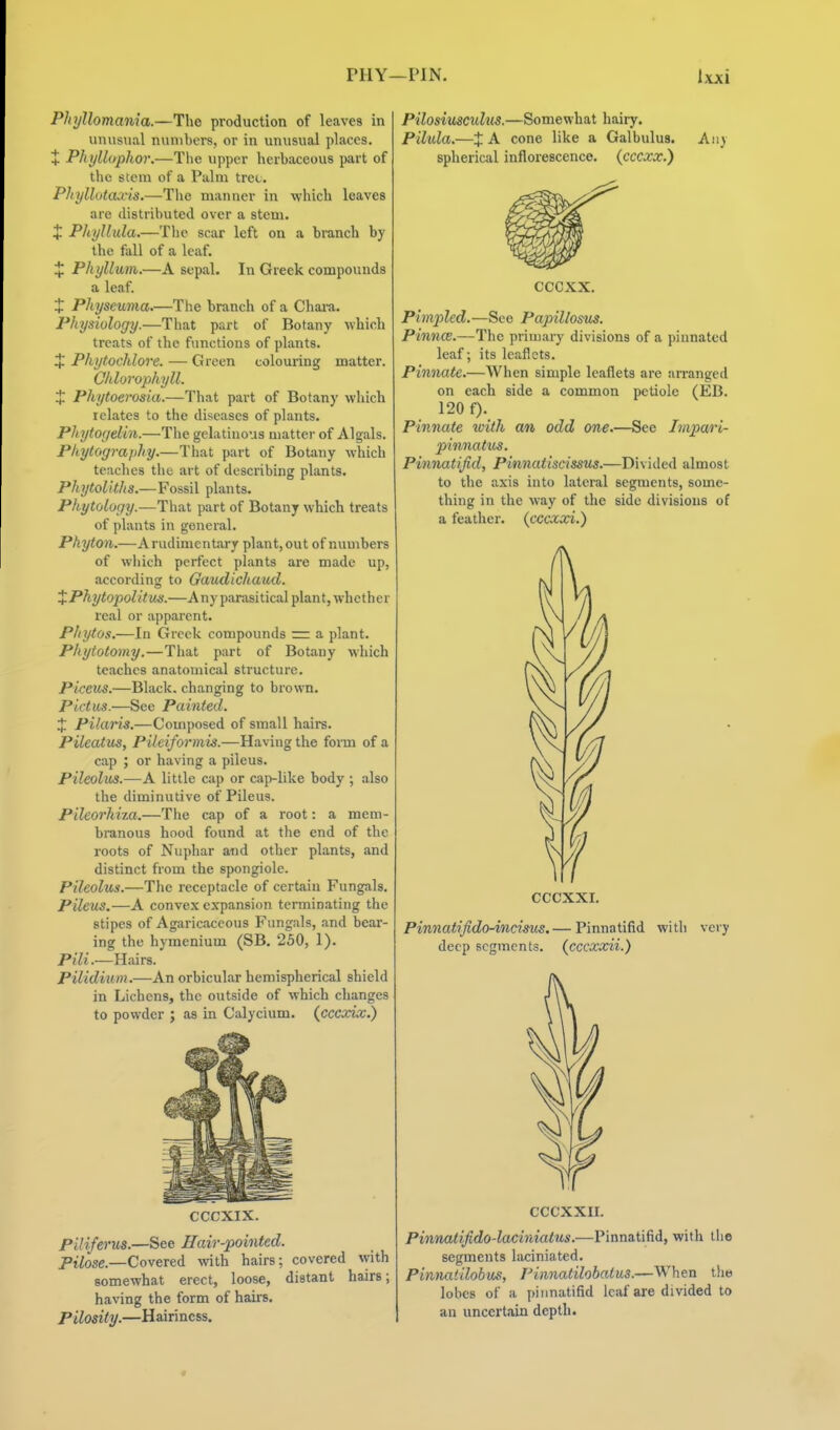 PHY—PIN. PhjjUomania.—The production of leaves in unusual numbers, or in unusual places. + Phi/llaphor.—The upper herbaceous part of the stem of a Palm tret. Phyllotaxis.—The manner in -which leaves are distributed over a stem. X Phyllula.—Tlie scar left on a branch by the fall of a leaf. :|: Phyllwm.—A sepal. In Greek compounds a leaf. + Physeuma.—Ttie branch of a Chai-a. Physiology.—That part of Botany which treats of the functions of plants. X Pkytochlore. — Green colouring matter. Chlorophyll. X Phytoerosia.—That part of Botany which relates to the diseases of plants. Phytogelin.—The gelatinous matter of Algals. Phytography.—That part of Botany which teaches the art of describing plants. Phytollths.—Fossil plants. Phytology.—That part of Botany which treats of plants in general. Phyton.—A rudimentary plant, out of numbers of which perfect plants are made up, according to Oaudichaud. XPhytopolitm.—Any parasitical plant, whether real or apparent. Phytos.—In Greek compounds = a plant. Phytotomy.—That part of Botany which teaches anatomical structure. Piceus.—Black, changing to brown. Pictus.—See Painted. X Pilaris.—Composed of small hairs. Pileatus, Pileiformis.—Having the form of a cap ; or having a pileus. Pileolus.—A little cap or cap-like body ; also the diminutive of Pileus. Pileorhiza.—The cap of a root: a mem- branous hood found at the end of the roots of Nuphar and other plants, and distinct from the spongiole. Pileolus.—The receptacle of certain Fungals. Pileus.—A convex expansion tei-minating the stipes of Agaricaceous Fungals, and bear- ing the hymenium (SB. 250, 1). Pili.—Hairs. Pilidium.—An orbicular hemispherical shield in Lichens, the outside of which changes to powder ; as in Calycium. {cccxix.) CCCXIX. Piliferus.—See Hair-pointed. Pilose.—Covered with hairs; covered \yith somewhat erect, loose, distant hairs; having the form of hairs. Pilosity.—Hairiness. Pilosi'mculus.—Somewhat hairy. Pilula.—J A cone like a Galbulus. Any spherical inflorescence, (cccxx.) cccxx. Pimpled.—See Papillosus. Pinnce.—The primary divisions of a pinnated leaf; its leaflets. Pinnate.—When simple leaflets are arranged on each side a common petiole (EB. 120 f). Pinnate with an odd one.—See Impari- pinnatus. Pinnatijid, Pinnatiscissus.—Divitled almost to the axis into lateral segments, some- thing in the way of the side divisions of a feather, (cccxpci.) CCCXXI. Pin7iatiJido-incisus.— Pinnatifid with very deep segments, (cccxxii.) CCCXXII. Pinnatifido-laciniatus.—Pinnatifid, with the segments laciniated. Pinnaiilobus, Piiinatilohatus.—When the lobes of a pinnatifid leaf are divided to an uncertain depth.