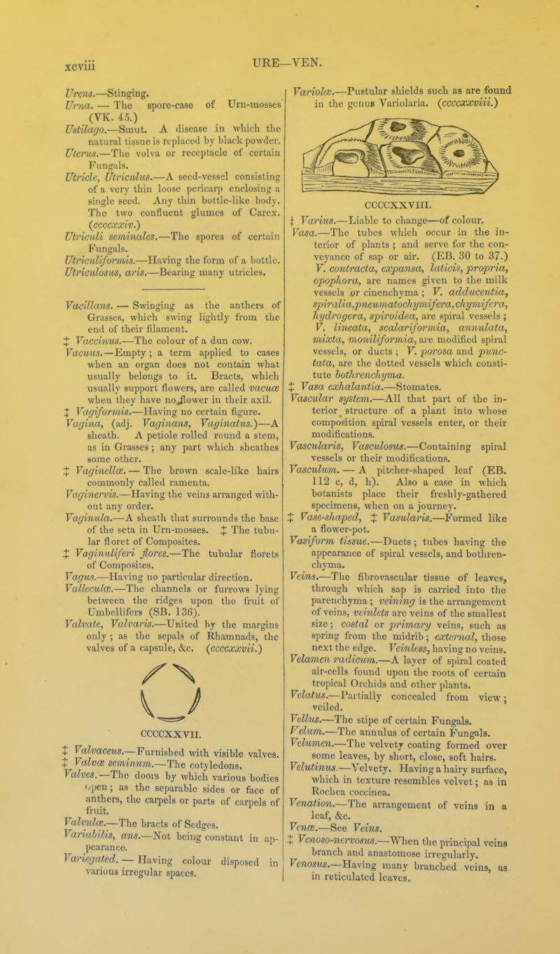 URE—VEN. Urens.—Stinging. Urna. — Tiio spore-case of Urn-mosses (VK. 45.) Ustilago.—Smut. A disease in which tlie natural tissue is replaced by black powder. Uterus.—The volva or receptacle of certain Fiingals. Utricle, Utricidiis.—A seed-vessel consisting of a very thin loose peiicarp enclosing a single seed. Any thin bottle-like body. The two confluent glumes of Carex. (ccccxxiv.) Utricidi seminales.—The spores of certain Funguls. Utnculiformis.—Having the form of a bottle. Utriculosus, aris.—Bearing many utricles. Vacillans. — Swinging as the anthers of Grasses, which swing lightly from the end of their filament. X Vaccinus.—The colour of a dun cow. Vacuus.—Empty ; a term applied to cases ■when an organ does not contain what usually belongs to it. Bracts, which usually support flowers, are called vacuce when tliey have nojlower in their iixil. J Var/iformis.—Having no certain figure. Vagina, (adj. Vaginwiis, Vaginatus.)—A sheath. A petiole rolled round a stem, as in Grasses; any part which sheathes some other. X VagincllcB. — The brown scale-like liairs commonly called ramenta. Vaginervis.-—i\a.\mg the veins arranged with- out any order. Vaginida.—A sheath that surrounds the base of the seta in Urn-mosses. J The tubu- lar floret of Composites. X Vaginuliferi fiorcs.—The tubular florets of Composites. Voffris.—Having no particular direction. Valleculce.—Tlic channels or furrows lying between the ridges upon the fruit of Umbellifers (SB. 136). Valvule, Valvaris.—United by the margins only ; as the sepals of Rhamnads, the valves of a capsule, &c. (ccccxxvii.) CCCCXXVII. X Valvaceus.—Furnished with visible valves. X Valves seminum.—The cotyledons. Valves. —The doors by which various bodies •/pen; as the separable sides or face of sinthere, the cai-pels or parts of carpels of fruit. Valvulce.—The bracts of Sedges. Variabilis, aw.—Not being constant in ap- pearance. Variegated. — Having colour disposed in various irregular spaces. Variola.—Pustular shields such as are found in the genus Variolaria. (ccccxxviii.) CCCCXXVIII. \ Vanus.—Liable to change—of colour, Vasa.—The tubes which occur in the in- terior of plants ; and serve for the con- veyance of sap or air. (EB. 30 to 37.) V. contracta, expansa, laticis, propria, opopltora, are names given to the milk vessels or cinenchyma ; V. adducentiaf spiralia,piieu7natochymifera,chyniifcra, hydrogera, spiroidca, are spiral vessels ; V. lineata, scalariformia, annulata, mixta, moniliformia, are modified spiral vessels, or ducts ; V. porosa and pwnc- tata, are the dotted vessels which consti- tute bothrenchyma. X Vasa exhalantia.—Stomates. Vascular system.—All that part of the in- terior _ structure of a plant into whose composition spiral vessels enter, or their modifications. Vascularis, Vasculosus.—Containing spiral vessels or their modifications. Vasculum. — A pitcher-shaped leaf (EB. 112 c, d, h). Also a case in which botanists place their freshly-gathered specimens, when on a journey. X Vase-shaped, X Vasularis.—Formed like a flower-pot. Vasifoi'm tissue.—Ducts ; tubes ha\-ing the appearance of spiral vessels, and bothren- chyma. Veins.—The fibrovascular tissue of leaves, through wliich sap is carried into the parenchyma ; reining is the arrangement of veins, vtinlets are veins of the smallest size; costal or primary veins, such as spring from the midrib; exter7ial, those next the edge. Veinless, having no veins. Vela7ne7i radicum.—A layer of spiral coated air-cells found upon the roots of certain tropical Orchids and other plants. Vclatus.—Partially concealed from view; veiled. Vellus.—The stipe of certain Fungals. Felum.—The annulus of certain Fungals. Velumen.—The velvety coating formed over some leaves, by short, close, soft hairs. Velutinus.—Velvety. Having a hairy surface, which in texture resembles velvet; as in Rochca coccinea. Venation.—The arrangement of veins in a leaf, &c. VcncE.—See Veins. X Venoso-nervosus.—When the principal veins branch and anastomose irregularly. Feraom.—Having many branched veins, as in reticulated leaves.