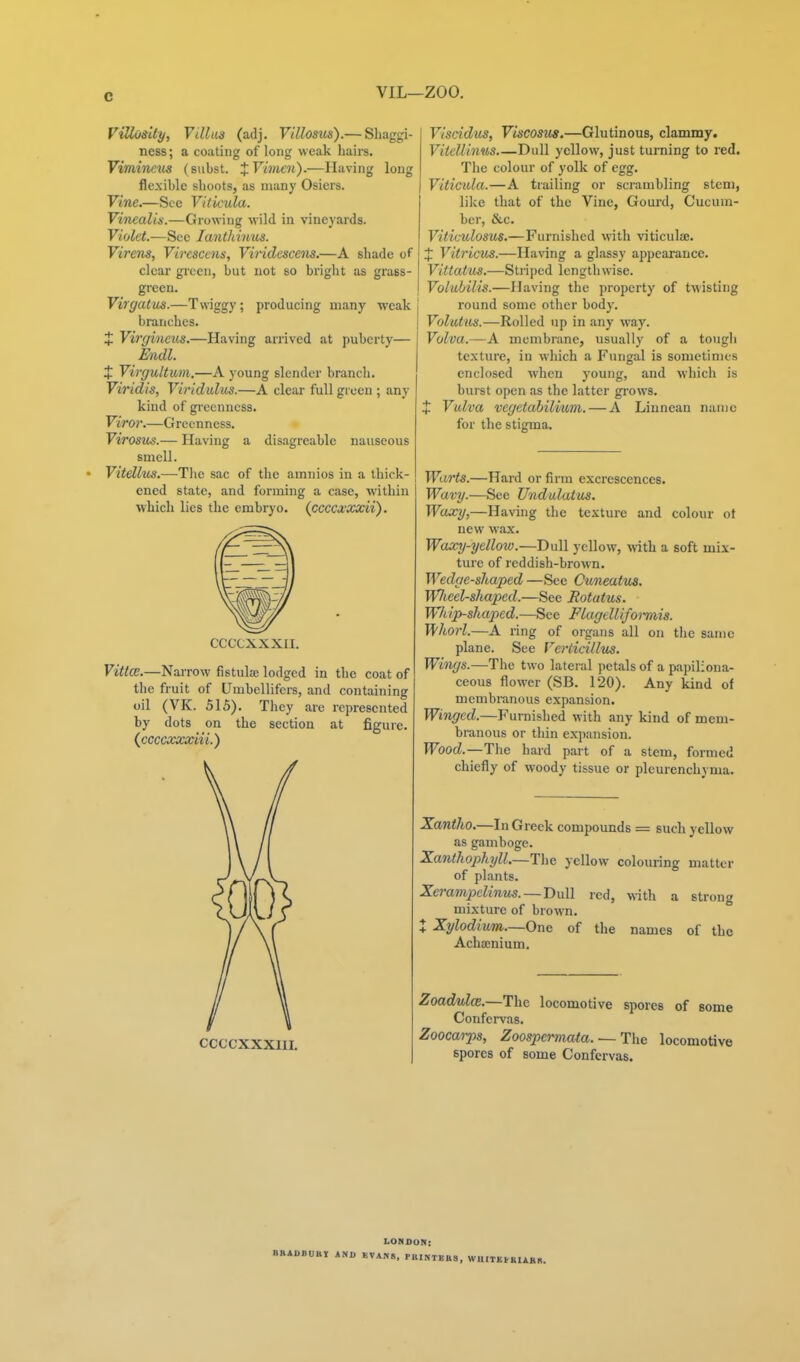 VIL—zoo. VUloiity, Yillua (adj. Villosm).— Sliaggi- ness; a coating of long weak haii-s, Vimineus (siibst. JFrnew).—Having long flexible shoots, as many Osiers. Vine.—See Viiicula. ViTiealis.—Growing wild in vineyards. Violet.—Sec lanthinics. Virens, Virescens, Viridcscens.—A shade of clear green, but not so bright as grass- green. Virgatus.—Twiggy; producing many weak branches. J Virf/incus.—Having arrived at puberty— £ndl. X Virgultum.—A young slender branch. Viridis, Viridulus.—A clear full green ; any kind of greenness. Viror.—Greenness. Virosus.— Having a disagreable nauseous smell. Vitellm.—The sac of the amnios in a thick- ened state, and forming a case, within which lies the embryo, {ccccxocxii). CCCCXXXII. Vittce.—Narrow fistulaj lodged in the coat of the fruit of Umbcllifers, and containing oil (VK. 515). They are represented by dots on the section at figure. {ccccxxxiii.) CCCCXXXIII. Viscidus, Viscosus.—Glutinous, clammy. Vitcllinus Dull yellow, just turning to red. The colour of yolk of egg. Viticula.—A trailing or scrambling stem, like that of the Vine, Gourd, Cucum- ber, &,c. Vitivulosus.—Furnished with viticulije. J Vitricus.—Having a glassy appearance. Vittatus.—Striped lengthwise. Voluhilis.—Having the property of twisting round some other body. Vohitas.—Rolled up in any w.ay. Volva.—A membrane, usually of a tough texture, in which a Fungal is sometimes enclosed when young, and which is burst open as the latter grows. X Vulva vegetabilium. — A Liunean nunio for the stigma. Warts.—Hard or firm excrescences. Wavy.—See Undulaius. Waxy,—Having the texture and colour ot new wax. Waxy-yellow.—Dull yellow, with a soft mix- ture of reddish-brown. Wedge-shaped —See Cuneatus. W?icel-shaped.—See Rotatus. Whip-shaped.—See Flagellifoi-mis. T\fhorl.—A ring of organs all on tlie same plane. See VeHicillus. Wings.—The two lateral petals of a pajjiliona- ceous flower (SB. 120). Any kind of membranous expansion. Winged.—Furnished with any kind of mem- branous or thin expansion. Wood.—The hard part of a stem, formed chiefly of woody tissue or pleurenchyma. Xantho.—In Greek compounds = such yellow as gamboge. Xanthophijll.—The yellow colouring matter of plants. Xerampclinus. — Dull red, with a strong mixture of brown. X Xylodium—One of the names of the Acha;nium. Zoadulce.—The locomotive spores of some Confervas. Zoocarps, Zoospermata. ~ The locomotive spores of some Confervas. BBAUBUUT AMI LONDOK: KVANS, rniNTKBS, WUITKtKIAHB.