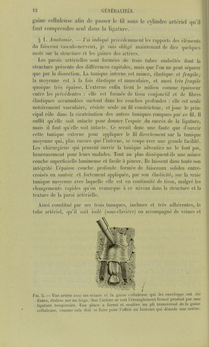 gaine eelkleuse afin de passer l<- 61 sons le cylindre artériel au% faul comprendre seul dans la ligature. § l. Ahatomie. — J'ai indiqué précédemment les rapports des élément* «lu faisceau vasculo-neWèui, je suis obligé maintenant de dire quelques mots sur la structure et les gai nos dos artères. Les parois artérielles sont formées de trois tubes emboîtés dont la structure présente des différences capitales, mais que l'on ne peut séparer que par la dissection. La tunique interne est mince, élastique et fragiles la moyenne est à la fois élastique et musculaire, et aussi très fragile quoique très épaisse. L'externe enfin tient le milieu connue épaisseur entre les précédentes : elle est formée de tissu conjonctif et de fibres élastiques accumulées surtout dans les couches profondes : elle est seule notoirement vasculaire, résiste seule au fil constricteur, et joue le prin- cipal rôle dans la cicatrisation des autres tuniques rompues par ce fil. 11 suffit qu'elle soit intacte pour donner l'espoir du succès de la ligature, mais il faut qu'elle soit intacte. Ce serait donc une faute que d'ouvrir celte tunique externe pour appliquer le lil directement sur la tunique moyenne qui, plus encore que l'interne, se coupe avec une grande facilité. Les chirurgiens qui pensenl ouvrir la tunique adventice ne le fonl pas, heureusement pour leurs malades. Tout au plus dissèquent-ils une mince couche superficielle lamineuse et facile à pincer. Ils laissent dans toute son intégrité l'épaisse couche profonde formée de faisceaux solides entre- croisés en sautoir et fortement appliquée, par son élasticité, sur la vraie tunique moyenne avec laquelle elle est en continuité de lissu, malgré les changements rapides qu'on remarque à ce niveau dans la structure et la texture de la paroi artérielle. Ainsi constitué par ses trois tuniques, incluses et très adhérentes, le tube artériel, qu'il soit isolé (sôus-clavière) ou accompagné de veines et Fig. 5. — Une artère avec ses vnincs cl la naine celluléttse qui les enveloppe on! été fixées, étalées sur un liège. Sur l'artère se voit l'étranglement froncé produit par une ligature temporaire. Une pince a formé et soulève un i»Ii transversal de la gaine celluleuse, comme cela doit se faire pour l'offrir au bistouri qui dénude une artère.