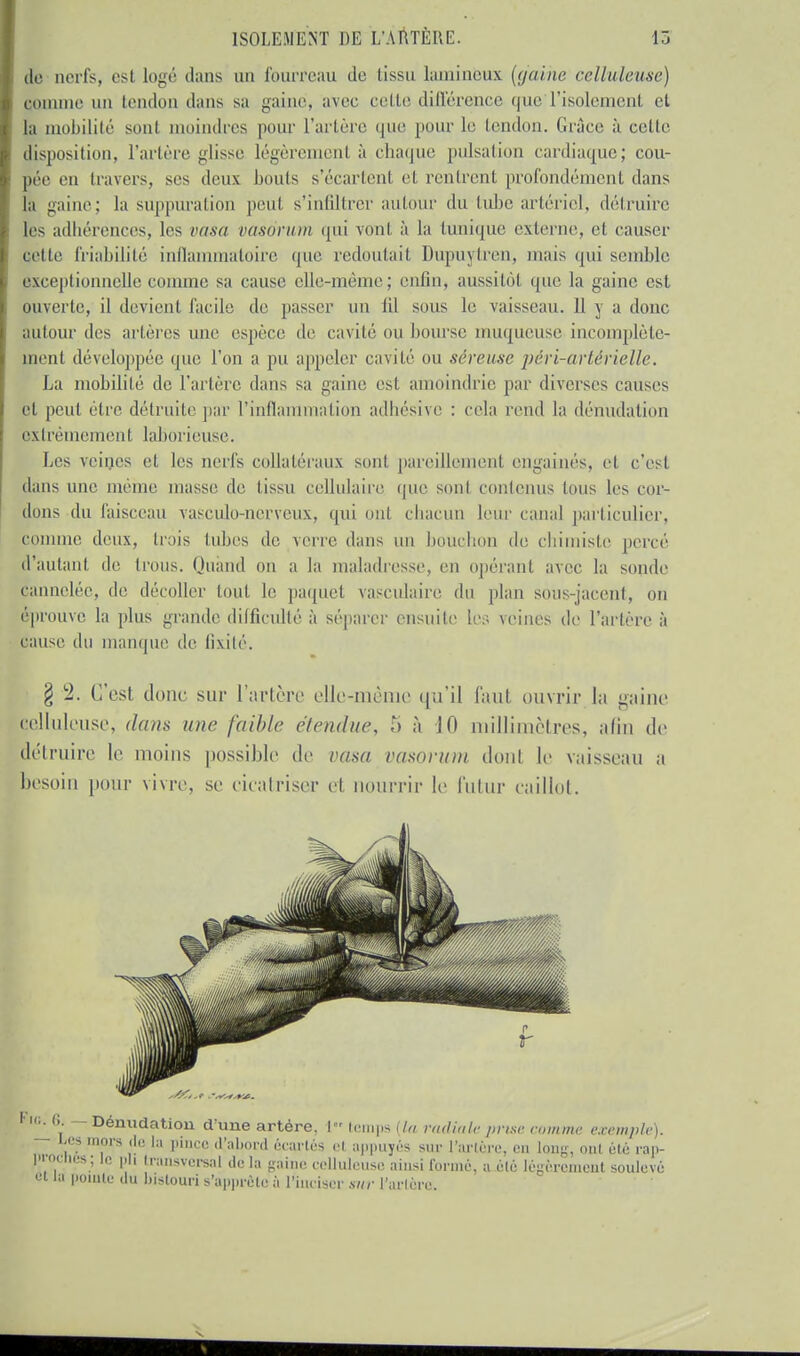 de nerfs, est logé dans un fourreau de lissu laminëux (gaine celluîeuse) comme un tendon dans sa gaine, avec cette différence que L'isolement et la mobilité sonl moindres pour l'artère que pour le tendon. Grâce à cette disposition, l'artère glisse légèrement à chaque pulsation cardiaque; cou- pée en travers, ses deux bonis s'écartenl et rentrent profondémenl dans la gaine; la suppuration peut s'infiltrer autour du tube artériel, détruire les adhérences, les vasa vasôrum qui vonl à la tunique externe, el causer celle friabilité inflammatoire que redoutait Dupuytren, mais qui semble exceptionnelle comme sa cause elle-même; enfin, aussitôl que la gaine est ouverte, il devient facile de passer un lil sous le vaisseau. 11 y a donc autour des artères une espèce de cavité ou bourse muqueuse incomplète- ment développée que l'on a pu appeler cavité ou séreuse péri-artérielle. La mobilité de l'artère dans sa gaine est amoindrie par diverses causes el peut être détruite par l'inflammation adhésive : cela rend la dénudation extrêmement laborieuse. Les veines et les nerfs collaléraux seul pareillement engainés, et c'esl dans une même masse de lissu cellulaire que sonl contenus tous le> cor- dons du faisceau vasculo-nerveux, qui ont chacun leur canal particulier, comme deux, trois tubes de verre dans un bouchon de chimiste percé d'autant de trous. Quand on a la maladresse, en opérant avec la sonde cannelée, de décoller tout le paquel vasculaire du plan sous-jacent, ou éprouve la plus grande difficulté à séparer ensuite les veines de l'artère à cause du manque de lîxilé. § !2. G'esl donc sur l'artère elle-même qu'il faut ouvrir la gaine celluîeuse. dans une faible étendue, 5 à 10 millimètres, afin de détruire le moins possible de vam vosorum dont le vaisseau a besoin pour vivre, se cicatriser el nourrir le futur caillot. Dénudation d'une artère. I tempa {lu radiale prise comme exemple). Les mors de la pince d'abord écartés et appuyés sur l'artère, en long, oui été rap- proches; le pli transversal delà gaine celluîeuse ainsi formé, a élé légèrement soulevé et la pointe du bistouri s'apprête à l'inciser sur l'artère.