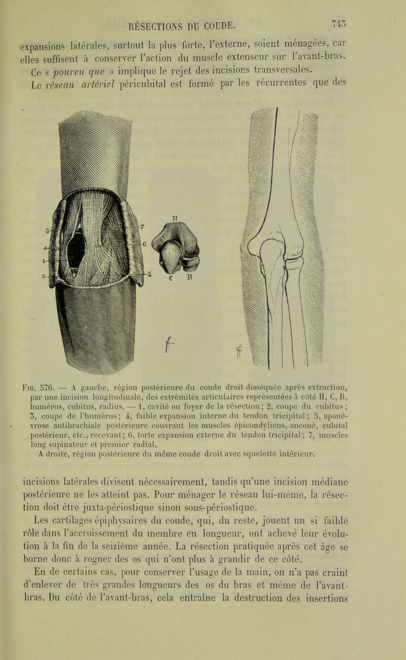 expansions latérales, surtout la plus forte, l'externe, soient ménagées, car elles suffisent à conserver l'action du muscle extenseur sur l'avant-bras. Ce « pourvu que d implique le rejet des incisions transversales. Le réseau artériel péricubital est formé par les récurrentes que des FiB. 576. — .V gaui-lie, région postérieure du coude droit disséquée après extraction, par une incision longiludiuaic, des extrémités articulaires représentées à côté II, C, li. iiumérus, cubitus, radius. — 1, cavité ou foyer de la résection; 2, coupe du cubitus ; 3, coupe de l'humérus; 4, faible expansion interne du tendon tricipital; o, aponé- vrose antibracliiale ]iosléricure couvrant les muscles épicondyliens, ancoué, cubital postérieur, etc., recevant ; 6, lorte expansion externe du tendon tricipital; 7, muscles long supinateuv et premier radial. A droite, région postérieure du même coude droit avec squelette intérieur. incisions latérales divisent nécessairement, tandis qu'une incision médiane postérieure ne les atteint pas. Pour ménager le réseau lui-même, la résec- tion doit être juxta-périostique sinon sous-périostique. Les cartilages épiphysaires du coude, qui, du reste, jouent un si faible rôle dans l'accroissement du membre en longueur, ont acbevé leur évolu- tion à la fin de la seizième année. La résection pratiquée après cet âge se borne donc à rogner des os qui n'ont plus à grandir de ce côté. En de certains cas, pour conserver l'usage de la main, on n'a pas craint d'enlever de très grandes longueurs des os du bras et même de l'avant- bras. Du coté de l'avant-bras, cela entraîne la destruction des insertions