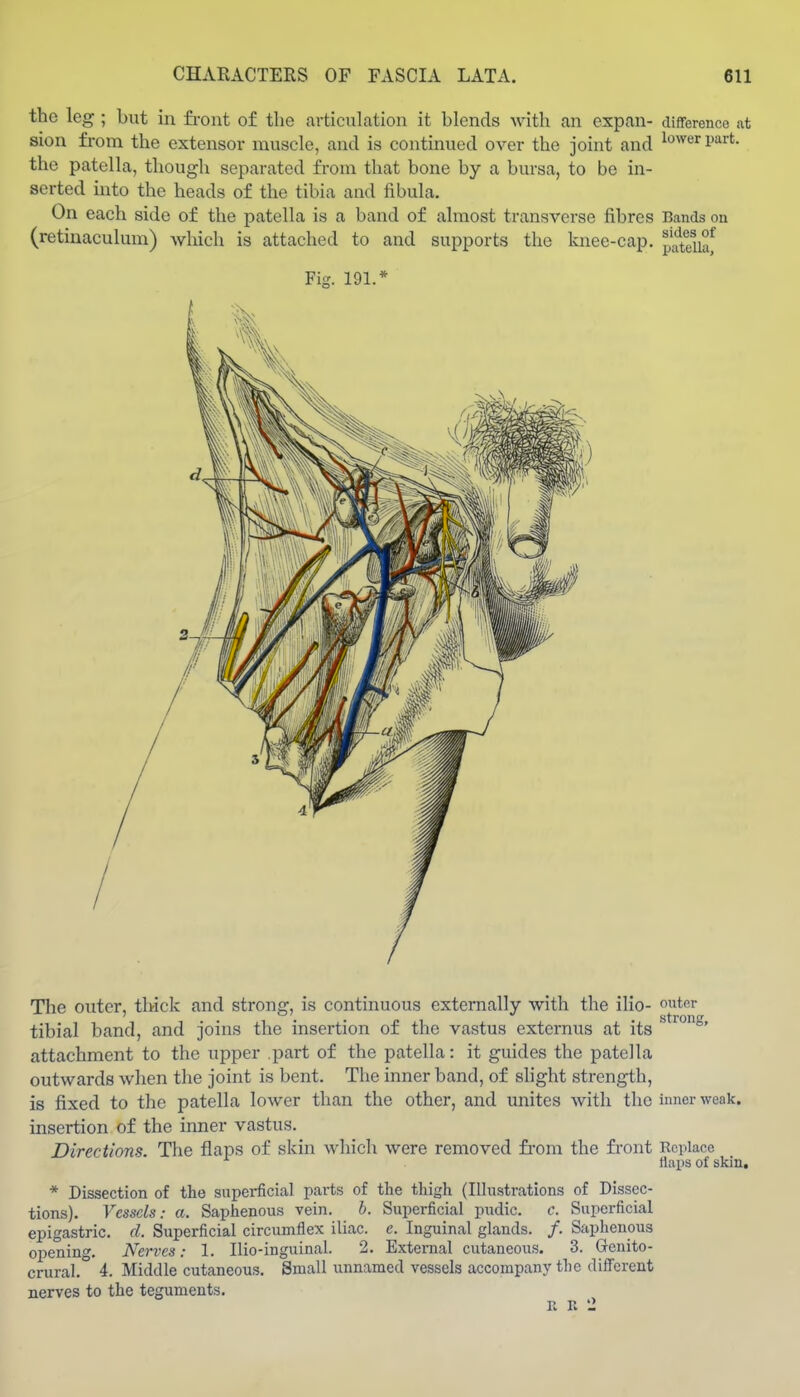 the leg ; but in front of the articulation it blends with an espan- difference at sion from the extensor muscle, and is continued over the joint and lower part, the patella, though separated from that bone by a bursa, to be in- serted into the heads of the tibia and fibula. On each side of the patella is a band of almost transverse fibres Bands on sides of patella, (retinaculum) which is attached to and supports the knee-cap. Fis. 191.^ The outer, thick and strong, is continuous externally with the ilio- o^^t^r tibial band, and joins the insertion of the vastus cxtcrnus at its °' attachment to the upper part of the patella: it guides the patella outwards when the joint is bent. The inner band, of slight strength, is fixed to the patella lower than the other, and unites with the inner weak. insertion of the inner vastus. Directions. The flaps of skin which were removed fi-om the front Replace Haps of skin, * Dissection of the supei-ficial parts of the thigh (Ilhistrations of Dissec- tions). Vessels: a. Saphenous vein. b. Superficial pudic. c. Superficial epigastric, d. Superficial circumflex iliac, c. Inguinal glands. /. Saphenous opening. Nerves: 1. Ilio-inguinal. 2. External cutaneous. 3. Genito- crural. 4. Middle cutaneous. Small unnamed vessels accompany the different nerves to the teguments. R K 2