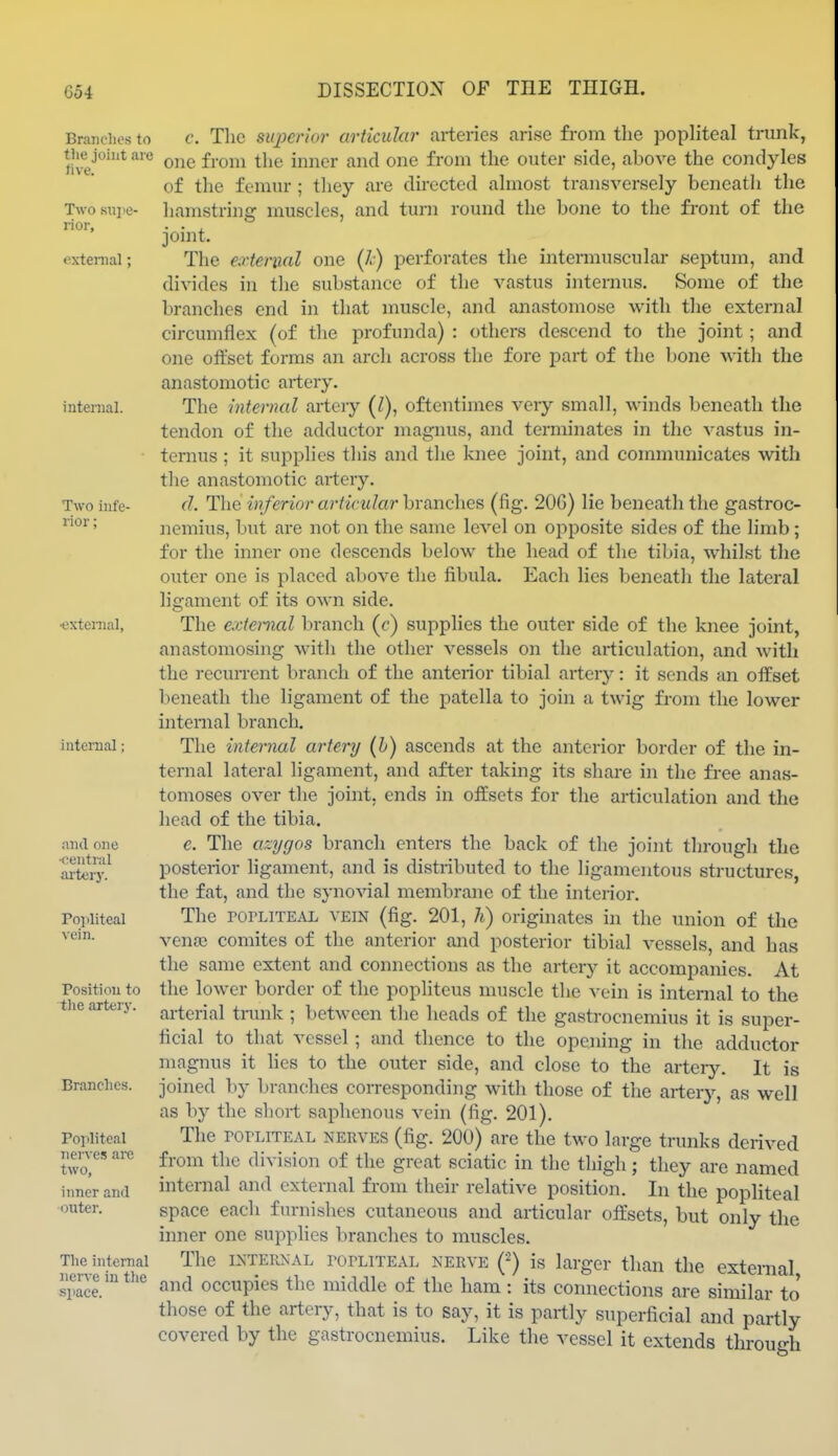 Branches to the joint {ire five. Two .siii>e- rior, extenial; intenial. Two infe- rior ; •external, internal; and one •central aitery. ropliteal vein. Positiou to the artery. Branches. Popliteal nerves arc two, inner and onter. The internal nerve iu the space. c. Tlie superior articular arteries arise from the popliteal trunk, one from the inner and one from the outer side, above the condyles of the femur; tliey are directed ahnost transversely beneath the hamstring muscles, and turn round the bone to the front of the joint. The external one (Z) perforates the intermuscular septum, and divides in the substance of the vastus internus. Some of the branches end in that muscle, and anastomose with the external circumflex (of the profunda) : others descend to the joint; and one offset forms an arch across the fore part of the bone with the anastomotic artery. The internal artery (Z), oftentimes very small, winds beneath the tendon of the adductor magnus, and terminates in the vastus in- ternus ; it supplies this and the knee joint, and communicates with the anastomotic artery. d. The inferior articular branches (fig. 20G) lie beneath the gastroc- nemius, but are not on the same level on opposite sides of the limb; for the inner one descends below the head of the tibia, whilst the outer one is placed above the fibula. Each lies beneath the lateral ligament of its own side. The external branch (c) supplies the outer side of the knee joint, anastomosing with the other vessels on the articulation, and with the recurrent branch of the anterior tibial artery: it sends an offset beneath the ligament of the patella to join a twig from the lower internal branch. The internal artery (h) ascends at the anterior border of the in- ternal lateral ligament, and after taking its share in the free anas- tomoses over the joint, ends in offsets for the articulation and the head of the tibia. e. The azygos branch enters the back of the joint through the posterior ligament, and is distributed to the ligamentous structures, the fat, and the synovial membrane of the interior. The PorLiTEAL vein (fig. 201, h) originates in the union of the vena; comites of the anterior and posterior tibial vessels, and has the same extent and connections as the artery it accompanies. At the lower border of the popliteus muscle the vein is internal to the arterial trunk ; between the heads of the gastrocnemius it is super- ficial to that vessel; and thence to the opening in the adductor magnus it lies to the outer side, and close to the arteiy. It is joined by branches corresponding with those of the artery, as well as by the short saphenous vein (fig. 201). The POPLITEAL NERVES (fig. 200) are the two large trunks derived from the division of the great sciatic in the thigh; they are named internal and external from their relative position. In the popliteal space each furnishes cutaneous and articular offsets, but only the inner one supphes branches to muscles. The INTERNAL roPLiTEAL NERVE is larger than the external, and occupies the middle of the ham : its connections are similar to' those of the artery, that is to say, it is partly superficial and partly covered by the gastrocnemius. Like the vessel it extends through