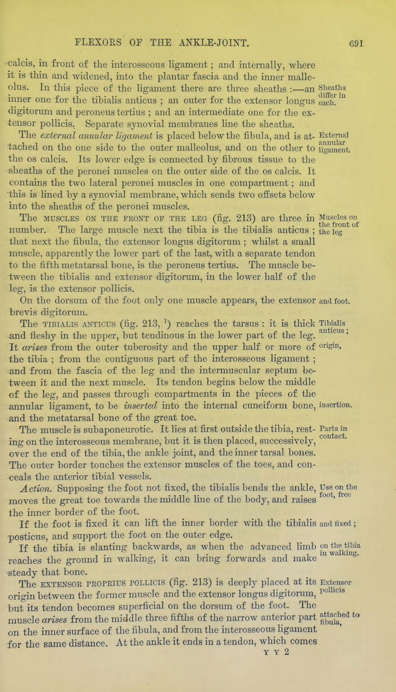 ■calcis, in front of the interosseous ligament; and internally, where it is tliin and widened, into the plantar fascia and the inner malle- olus. In this piece of the ligament there are three sheaths :—an Sheaths inner one for the tibialis anticus ; an outer for the extensor longus each. digitorum and peroneus tertius ; and an intermediate one for the ex- tensor pollicis. Separate synovial membranes line the sheaths. The external annular ligament is placed below the fibula, and is at- External tached on the one side to the outer malleolus, and on the other to ligament, the OS calcis. Its lower edge is connected by fibrous tissue to the sheaths of the peronei muscles on the outer side of the os calcis. It contains the two lateral peronei muscles in one compartment; and this is lined by a synovial membrane, which sends two offsets below into the sheaths of the peronei muscles. The MUSCLES ON THE FRONT OP THE LEG (fig. 213) are three in Muscles 011^ number. The large muscle next the tibia is the tibialis anticus ; the leg that next the fibula, the extensor longus digitorum ; whilst a small muscle, apparently the lower part of the last, with a separate tendon to the fifth metatarsal bone, is the peroneus tertius. The muscle be- tween the tibialis and extensor digitorum, in the lower half of the leg, is the extensor pollicis. On the dorsum of the foot only one muscle appears, the extensor and foot, brevis digitorum. Tlie TIBIALIS ANTICUS (fig. 213, ^) reaches the tarsus : it is thick Tibialis and fleshy in the upper, but tendinous in the lower part of the leg. ' It arises from the outer tuberosity and the upper half or more of origin, the tibia ; from the contiguous part of the interosseous ligament ; and from the fascia of the leg and the intermuscular septum be- tween it and the next muscle. Its tendon begins below the middle of the leg, and passes through compartments in the pieces of the annular ligament, to be inserted into the internal cuneiform bone, insertion, and the metatarsal bone of the great toe. The muscle is subaponeurotic. It lies at first outside the tibia, rest- Parts in ing on the interosseous membrane, but it is then placed, successively, over the end of the tibia, the ankle joint, and the inner tarsal bones. The outer border touches the extensor muscles of the toes, and con- ceals the anterior tibial vessels. Action. Supposing the foot not fixed, the tibialis bends the ankle. Use on the foot fr6ti moves the great toe towards the middle line of the body, and raises ' the inner border of the foot. If the foot is fixed it can lift the inner border with the tibialis and fixed; posticus, and support the foot on the outer edge. If the tibia is slanting backwards, as when the advanced limb reaches the ground in walking, it can bring forwards and make •steady that bone. The EXTENSOR rROPKius POLLICIS (fig. 213) is deeply placed at its Extensor origin between the former muscle and the extensor longus digitorum, I'o^icis but its tendon becomes superficial on the dorsum of the foot. The muscle arises from the middle three fifths of the narrow anterior part ^^^^^^^ on the inner surface of the fibula, and from the interosseous ligament for the same distance. At the ankle it ends in a tendon, which comes Y Y 2