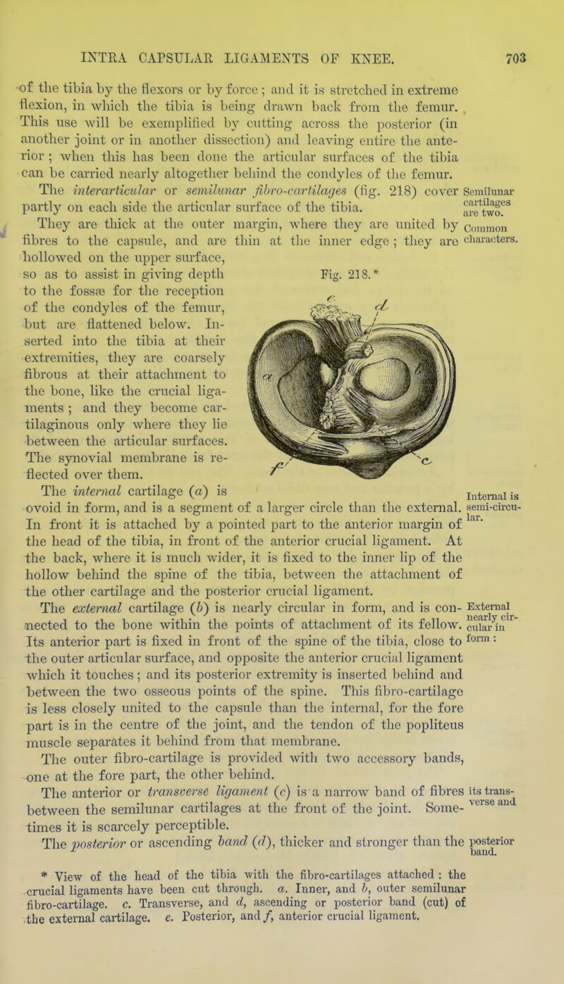 -of tlie tibia by the flexors or by force ; and it is stretched in extreme flexion, in which the tibia is being drawn bade from the femur. , This use will be exemplified by cutting across tlie posterior (in another joint or in another dissection) and leaving entire the ante- rior ; when this has been done the articular surfaces of the tibia can be carried nearly altogether behind tlie condyles of the femui'. Tlie interarticular or semilunar ^fibro-cartilages (fig. 218) cover Semilunar partly on each side the articular surface of the tibia. ajriwo?* They are thick at the outer margin, where they are united by common fibres to the capsule, and are tliin at the hmer edge ; they are characters, hollowed on the upper surface, so as to assist in giving depth Fig. 218.* to the fossfB for the reception of the condyles of the femur, but are flattened below. In- serted into the tibia at their extremities, they are coarsely fibrous at their attachment to the bone, like the crucial liga- ments ; and they become car- tilaginous only where they lie between the articular surfaces. The synovial membrane is re- flected over them. The internal cartilage (a) is Internal is ovoid in form, and is a segment of a larger circle than the external, semi-circu- In fi'ont it is attached by a pointed part to the anterior margin of the head of the tibia, in fi-ont of the anterior crucial ligament. At the back, where it is much wider, it is fixed to the inner lip of the hollow behind the spine of the tibia, between the attachment of the other cartilage and the posterior crucial ligament. The external cartilage (b) is nearly circular in form, and is con- External nected to the bone within the points of attachment of its fellow, cuhu-^in^ Its anterior part is fixed in front of the spine of the tibia, close to ^^^^ '• the outer articular surface, and opposite the anterior crucial ligament which it touches; and its posterior extremity is inserted behind and between the two osseous points of the spine. This fibro-cartilage is less closely united to the capsule than the internal, for the fore part is in the centre of the joint, and the tendon of the popliteus muscle separates it behind from that mendirane. The outer fibro-cartilage is provided with two accessory bands, one at the fore part, the other behind. The anterior or transverse ligament (r) is a narrow band of fibres itstrans- between the semilunar cartilages at the front of the joint. Some- ^^^^^ '^^^ times it is scarcely perceptible. The vosterior or ascending hand (r/), thicker and stronger than the i>osterior baud. * View of the head of the tibia with the fihro-cartilages attached : the crucial ligaments have been cnt through, a. Inner, and h, outer semilunar fibro-cartilage. c. Transverse, and d, ascending or posterior band (cut) of .the external cartilage, e. Posterior, and/, anterior crucial ligament.