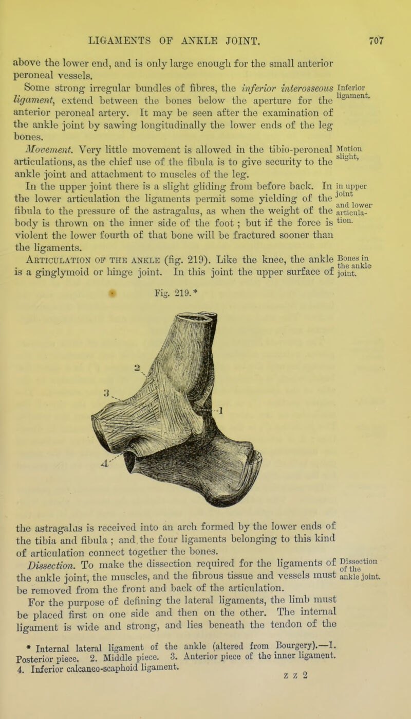 above the lower end, and is only large enougli for the small anterior peroneal vessels. Some strong irregular bundles of fibres, the inferior interosseous inferior ligament, extend between the bones below the aperture for the ° anterior peroneal artery. It may be seen after the examination of the ankle joint by sawing longitudinally the lower ends of the leg bones. Movement. Very little movement is allowed in the tibio-peroneal Motion articulations, as the chief use of the fibula is to give security to the ° ' ankle joint and attachment to muscles of the leg. In the upper joint there is a slight gliding from before back. In in upper the lower articulation the ligaments permit some yielding of the iibula to the pressure of the astragalus, as when the weight of the articuia- body is thro%vn on the inner side of the foot ; but if the force is violent the lower fourth of that bone will be fi-actm-ed sooner than the ligaments. Articulation of the ankle (fig. 219). Like the knee, the ankle is a ginglymoid or hinge joint. In this joint the upper surface of joint. • Fis. 219.* the astragalus is received into an arch formed by the lower ends of the tibia and fibula ; and, the four ligaments belonging to this Idnd of articulation connect together the bones. Dissection. To make the dissection required for the ligaments of ^JfJ^^' the ankle joint, the muscles, and the fibrous tissue and vessels must ankle joint, be removed from the front and back of the articulation. For the purpose of defining tlie lateral ligaments, the limb must be placed first on one side and then on the other. The internal ligament is wide and strong, and lies beneath the tendon of the • Internal lateral ligament of the ankle (altered from Bourgery).—1. Posterior piece. 2. Middle piece. 3. Anterior piece of the inner ligament. 4, Inferior calcanco-scaphoid ligament. z z 2