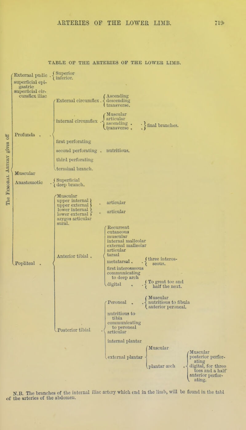 ARTERIES OF THE LOWER LIMB. Tl* TABLE OF THE ARTERIES OF THE LOWER LIMB. o S3 < -<! Pi O w Em External inidic ^ (. mlenor. sui)erficial epi- gastric suiHjrficial cir- cuMitlex iliac Profiinila Muscular Anastomotic Popliteal External circumflex ( Ascending :x. ■< deseendiiu I transverse ■{ /Muscular internal circumflex J s^iti^'ulp- \^ trans vei'so first perforating second perforating . nutritious, third perforating terminal branch. ■ final branches. (Superficial ' { deep branch. ^Muscular upper internal) upper external) lower internal \ lower external ) azygos articular sural. Anterior tibial Posterior tibial articular articular Recurrent cutaneous muscular internal malleolar external malleolar articidar tarsal metatarsal. first interosseous communicating to deep arch (three iiiteros- ( seous. > digital Peroneal . nutritious to tibia comimmicatiiig to i)eroneal articidar uitenial plantar ( To great toe and ■ ( half the next. ( Muscular . ■( nutritions to fibula (. anterior peroueaL Muscular , external plantar - .plantar arch /Muscular posterior perfor- ating J. digital, f(n- three toes and a half I anterior perfor- V ating. N.B. Tlie branches of tlie internal iliac artury which end in tlic limb, will be found in tlie tabl of the arteries of the abdomen.