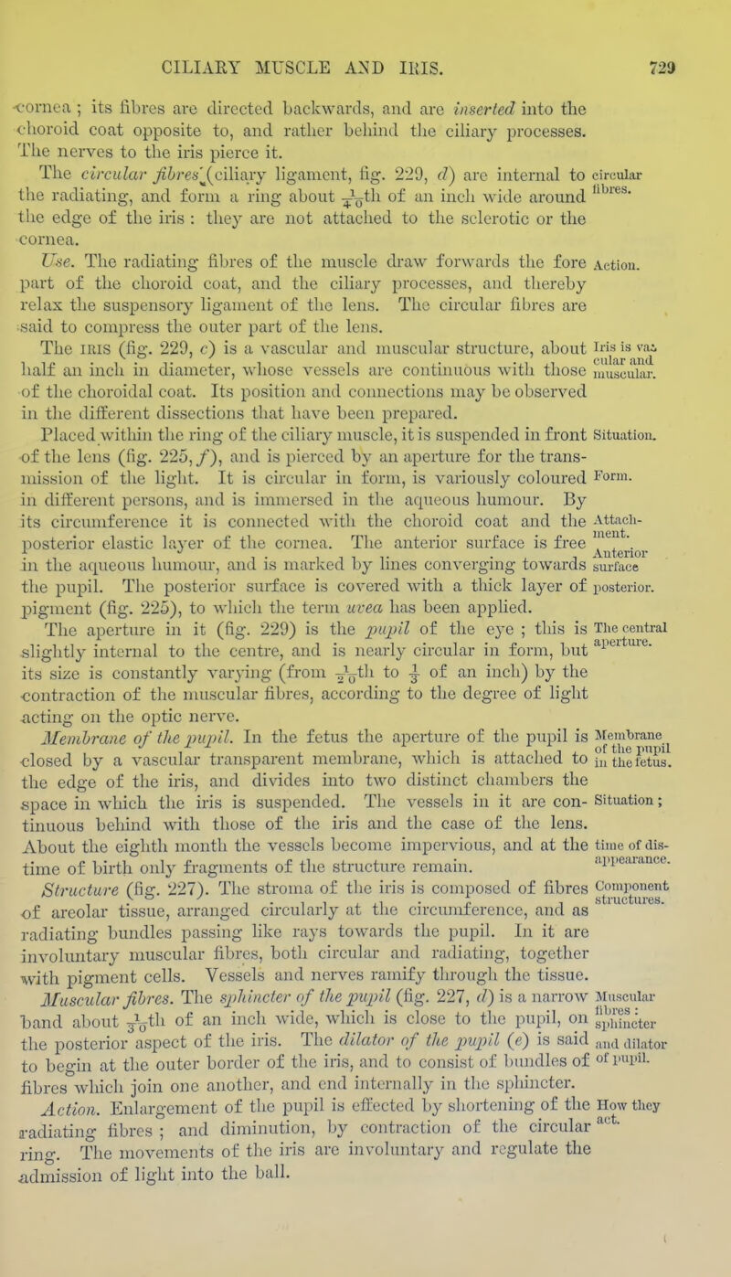 <-oi'nea ; its iibrcs are directed backwards, and are inserted into the <^-horoid coat opposite to, and rather behind the cihary processes. The nerves to the iris pierce it. The circular fihres'J^Qi\m\y ligament, fig. 229, (1) are internal to circular the radiating, and form a ring about -^jfi^ of an inch wide around the edge of the iris : they are not attached to the sclerotic or the cornea. Use. The radiating fibres of the muscle draw forwards the fore Action, part of the choroid coat, and the ciliary processes, and thereby relax the suspensory ligament of the lens. The circular fibres are isaid to compress the outer part of the lens. The IRIS (fig. 229, c) is a vascular and muscular structure, about ins is vai . . . cular and half an inch in diameter, whose vessels are continuous with those nmscular. of the choroidal coat. Its position and connections may be observed in the different dissections that have been prepared. Placed within the ring of the ciliary muscle, it is suspended in front Situation, of the lens (fig. 225,/), and is pierced by an aperture for the trans- mission of the light. It is circular in form, is variously coloured Form, in different persons, and is immersed in the aqueous humour. By its circumference it is connected with the choroid coat and the Attach- posterior elastic layer of the cornea. The anterior surface is free ^ '. \iitcrioi' in the acpieous humour, and is marked by lines converging towards surface the pupil. The posterior surface is covered with a thick layer of posterior, pigment (fig. 225), to which the term uvea has been applied. The aperture in it (fig. 229) is the pupil of the eye ; this is Tlie central slightly internal to the centre, and is nearly circular in form, but its size is constantly varying (from -^-^yth to ^ of an inch) by the ■contraction of the muscular fibres, according to the degree of light dieting on the optic nerve. Membrane of the pupil. In the fetus the aperture of the pupil is ^[eInl)rane of tliG pnpil ■closed by a vascular transparent membrane, which is attached to lu theietus. the edge of the iris, and divides into two distinct chambers the space in Avhich the iris is suspended. The vessels in it are con- Situation; tinuous behind with those of the iris and the case of the lens. About the eighth month the vessels become impervious, and at the time of dis- time of birth only fragments of the structure remain. appearance. Structure (fig. 227). The stroma of the iris is composed of fibres ■of areolar tissue, arranged circularly at the circumference, and as ' radiating bundles passing like rays towards the pupil. In it are involuntary muscular fibres, both circular and radiating, together with pigment cells. Vessels and nerves ramify through the tissue. Muscular Jibres. The sphincter of the pupil (fig. 227, d) is a narrow Muscular hand about /oth of an inch wide, which is close to the pupil, on yjScter the posterior aspect of the iris. The dilator of the piupil (e) is said a„d dilator to begin at the outer border of the iris, and to consist of bundles of of pupil, fibres which join one another, and end internally in the sphincter. Action. Enlargement of the pupil is eflrected by shortenhig of the How they a-adiating fibres ; and diminution, by contraction of the circular • ring. The movements of the iris are involuntary and regulate the admission of light into the ball.