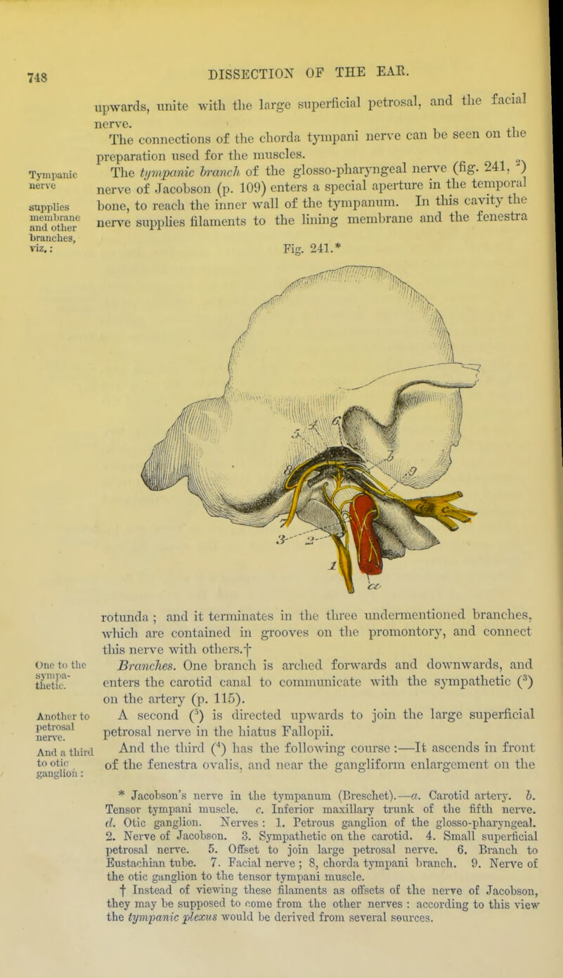 Tympanic nerve supplies ineiuljranc and other ■branches, viz,: upwards, unite with the large superficial petrosal, and the facial nerve. The connections of the chorda tyinpani nerve can be seen on tlie preparation used for the muscles. The Uimpanic hranch of the glosso-pharyngeal nen^e (fig. 241, -) nerve of Jacobson (p. 109) enters a special aperture in the temporal bone, to reach the inner wall of the tympanum. In this cavity the nerve supplies filaments to the lining membrane and the fenestra Fiir. 241.* One to the .sympa- thetic. Another to petrosal nerve. And a third to otic ganglion: rotunda ; and it terminates in the three undermentioned branches, which are contained in grooves on the promontory, and connect this nerve with others.f Branches. One branch is arched foi-wards and downwards, and enters the carotid canal to communicate with the S}Tnpathetic (•'') on the artery (p. 116). A second (^) is directed upwards to join the large superficial petrosal nerve in the hiatus Fallopii. And the third C) has the following course:—It ascends in front of the fenestra ovalis, and near the gangliform enlargement on the * Jacobson's nerve in the tympanum (Breschet).—o. Carotid arterj-. b. Tensor tympani muscle. c Inferior maxillary trunk of the fifth nerve. d. Otic ganglion. Nerves : 1. Petrous ganglion of the glosso-pharyngeal. 2. Nerve of Jacobson. 3. Sympathetic on the carotid. 4. Small superficial petrosal nerve. 5. Offset to join large petrosal nerve. 6. Branch to Eustachian tube. 7. Facial nerve ; 8, chorda tympani branch. 9. Nerve of the otic ganglion to the tensor tympani muscle. t Instead of viemng these filaments as offsets of the nerve of Jacobson, they may be supposed to come from the other nerves : according to this view the tympanic plexus would be derived from several sources.