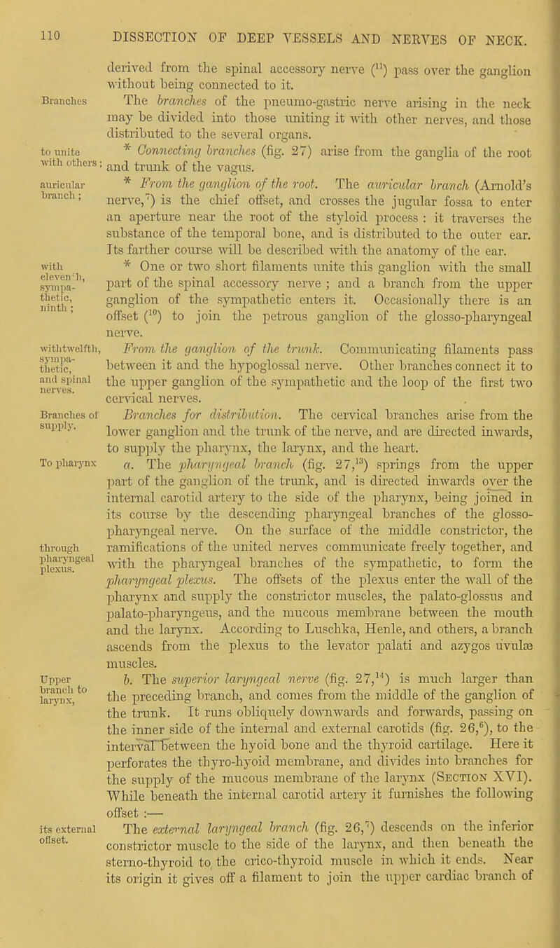 Branches to unite wit h others; auricular branch; with eleven']], sympa- thetic, ninth ; withtwelfth, sympa- thetic, and spinal nerves. Branches ot supply. To pharynx derived from the spinal accessory nerve () pass over the ganglion without being connected to it. The branches of the pneumo-gastric nerve arising in the neck may be divided into those uniting it with other nerves, and those distributed to the several organs. arise from the ganglia of the root through pharyngeal plexus. Upper branch to larynx, its external ollset. * Connecting branches (fig. 27) and trunk of the vagus. * From the ganglion of the root. The auricular branch (Arnold's nerve,7) is the chief offset, and crosses the jugular fossa to enter an aperture near the root of the styloid process : it traverses the substance of the temporal bone, and is distributed to the outer ear. Its farther course will be described with the anatomy of the ear. * One or two short filaments unite this ganglion with the small part of the spinal accessory nerve ; and a branch from the upper ganglion of the sympathetic enters it. Occasionally there is an offset (10) to join the petrous ganglion of the glossopharyngeal nerve. From the ganglion of the trunk Communicating filaments pass between it and the hypoglossal nerve. Other branches connect it to the upper ganglion of the sympathetic and the loop of the first two cervical nerves. Branches for distribution. The cervical branches arise from the lower ganglion and the trunk of the nerve, and are directed inwards, to supply the pharynx, tlie larynx, and the heart. a. The pharyngeal branch (fig. 27,ia) springs from the upper part of the ganglion of the trunk, and is directed inwards over the internal carotid artery to the side of the pharynx, being joined in its course by the descending pharyngeal branches of the glosso- pharyngeal nerve. On the surface of the middle constrictor, the ramifications of the united nerves communicate freely together, and with the pharyngeal branches of the sympathetic, to form the pharyngeal plexus. The offsets of the plexus enter the wall of the pharynx and supply the constrictor muscles, the palato-glossus and palato-pharyngeus, and the mucous membrane between the mouth and the larynx. According to Luschka, Henle, and others, a branch ascends from the plexus to the levator palati and azygos u'vuLb muscles. 6. The superior laryngeal nerve (fig. 27,14) is much larger than the preceding branch, and comes from the middle of the ganglion of the trunk. It runs obliquely downwards and forwards, passing on the inner side of the internal and external carotids (fig. 26,6), to the interval between the hyoid bone and the thyroid cartilage. Here it perforates the thyro-hyoid membrane, and divides into branches for the supply of the mucous membrane of the larynx (Section XVI). While beneath the internal carotid artery it furnishes the following offset :— The external laryngeal Irranch (fig. 26,') descends on the inferior constrictor muscle to the side of the larynx, and then beneath the stemo-thyroid to the crico-thyroid muscle in which it ends. Near its origin it gives off a filament to join the upper cardiac branch of