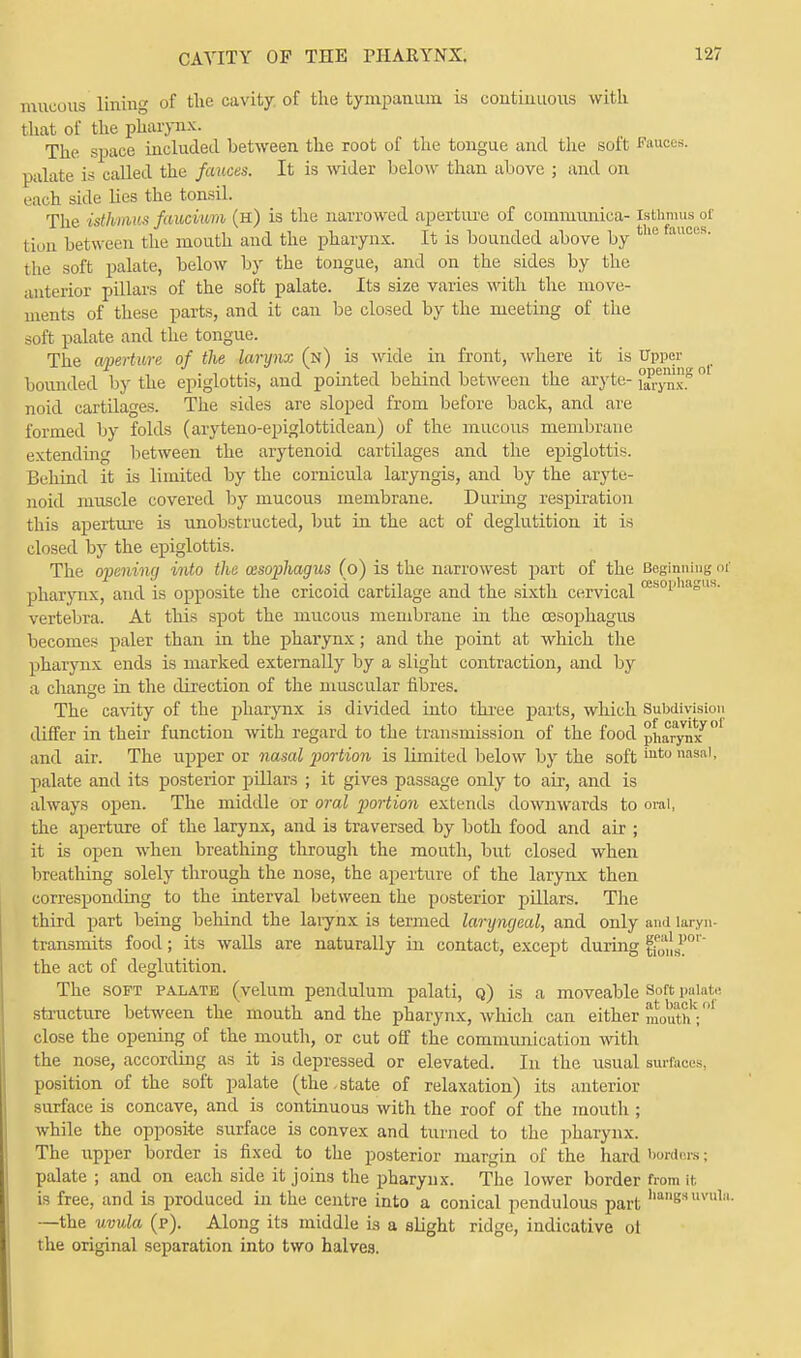 mucous lining of the cavity, of the tympanum is continuous with that of the pharynx. The space included between the root of the tongue and the soft Fauces, palate is called the fauces. It is wider below than above ; and on each side lies the tonsil. The isthmus faucium (h) is the narrowed aperture of coinmunica- Isthmus of lion between the mouth and the pharynx. It is bounded above by t1'fauces the soft palate, below by the tongue, and on the sides by the anterior pillars of the soft palate. Its size varies with the move- ments of these parts, and it can be closed by the meeting of the soft palate and the tongue. The aperture of the larynx (n) is wide in front, where it is Upper bounded by the epiglottis, and pointed behind between the aryte- ^yn ° noid cartilages. The sides are sloped from before back, and are formed by folds (aryteno-epiglottidean) of the mucous membrane extending between the arytenoid cartilages and the epiglottis. Behind it is limited by the cornicula laryngis, and by the aryte- noid muscle covered by mucous membrane. During respiration this aperture is unobstructed, but in the act of deglutition it is closed by the epiglottis. The opening into the oesophagus (o) is the narrowest part of the Beginning of pharynx, and is opposite the cricoid cartilage and the sixth cervical ces°1'iasu° vertebra. At this spot the mucous membrane in the cesophagus becomes paler than in the pharynx; and the point at which the pharynx ends is marked externally by a slight contraction, and by a change in the direction of the muscular fibres. The cavity of the pharynx is divided into three parts, which Subdivision differ in their function with regard to the transmission of the food pharynx7 °' and air. The upper or nasal portion is limited below by the softiuto nasa'> palate and its posterior pillars ; it gives passage only to air, and is always open. The middle or oral portion extends downwards to oral, the aperture of the larynx, and is traversed by both food and air ; it is open when breathing through the mouth, but closed when breathing solely through the nose, the aperture of the larynx then corresponding to the interval between the posterior pillars. The third part being behind the larynx is termed laryngeal, and only and laryn- transmits food; its walls are naturally in contact, except during films1'0'' the act of deglutition. The soft palate (velum pendulum palati, q) is a moveable Soft palate structure between the mouth and the pharynx, which can either mouthV ' close the opening of the mouth, or cut off the communication with the nose, according as it is depressed or elevated. In the usual surfaces, position of the soft palate (the state of relaxation) its anterior surface is concave, and is continuous with the roof of the mouth ; while the opposite surface is convex and turned to the pharynx. The upper border is fixed to the posterior margin of the hard borders; palate ; and on each side it joins the pharynx. The lower border from it is free, and is produced in the centre into a conical pendulous part hanKsuvula- —the uvula (p). Along its middle is a slight ridge, indicative ol the original separation into two halves.