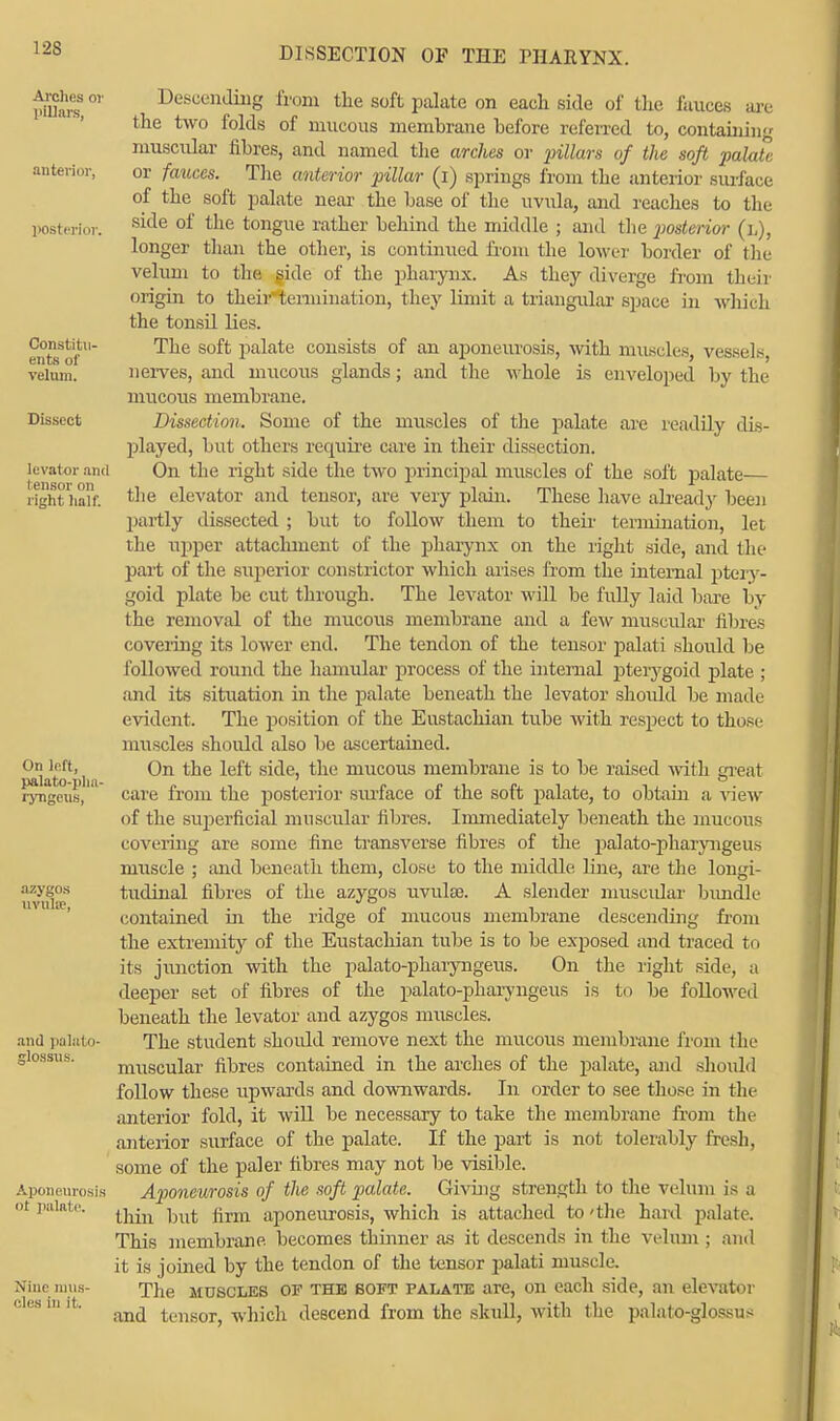 Arches or pillars, anterior, posterior. Constitu- ents of velum. Dissect levator and Iensor on right half. On left, palato-pliii- ryngcus, azygos uvuto, and palato- glossus. Descending from the soft palate on each side of the fauces are the two folds of mucous membrane before referred to, containing muscular fibres, and named the arches or pillars of the soft palate or fauces. The anterior pillar (i) springs from the anterior surface of the soft palate near the base of the uvula, and reaches to the side of the tongue rather behind the middle ; and the posterior (l), longer than the other, is continued from the lower border of the velum to the side of the pharynx. As they diverge from their origin to theirtermination, they limit a triangular space in which the tonsil lies. The soft palate consists of an aponeurosis, with muscles, vessels, nerves, and mucous glands; and the whole is enveloped by the mucous membrane. Dissection. Some of the muscles of the palate are readily dis- played* but others require care in their dissection. On the right side the two principal muscles of the soft palate— the elevator and tensor, are very plain. These have already been partly dissected ; but to follow them to their tennination, let the itpper attachment of the pharynx on the right side, and the part of the superior constrictor which arises from the internal ptery- goid plate be cut through. The levator will be fully laid bare by the removal of the mucous membrane and a few muscular fibres covering its lower end. The tendon of the tensor palati should be followed round the hamular process of the internal pterygoid plate ; and its situation in the palate beneath the levator should be made evident. The position of the Eustachian tube with respect to those muscles should also be ascertained. On the left side, the mucous membrane is to be raised with great care from the posterior siuface of the soft palate, to obtain a view of the superficial muscular fibres. Immediately beneath the mucous covering are some fine transverse fibres of the palato-pharyngeus muscle ; and beneath them, close to the middle line, are the longi- tudinal fibres of the azygos uvula;. A slender muscular bundle contained in the ridge of mucous membrane descending from the extremity of the Eustachian tube is to be exposed and traced to its junction with the palato-pharyngeus. On the right side, a deeper set of fibres of the palato-pharyngeus is to be followed beneath the levator and azygos muscles. The student shoidd remove next the mucous membrane from the muscular fibres contained in the arches of the palate, and should follow these upwards and downwards. In order to see those in the anterior fold, it will be necessary to take the membrane from the anterior surface of the palate. If the part is not tolerably fresh, some of the paler fibres may not be visible. Aponeurosis of the soft palate. Giving strength to the velum is a thin but firm aponeurosis, which is attached to'the hard palate. This membrane becomes thinner as it descends in the velum ; and it is joined by the tendon of the tensor palati muscle. The muscles OF the soft palate are, on each side, an elevator and tensor, which descend from the skull, with the palatoglossus