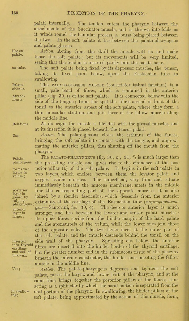 Use on palate, on tube. Palato- glossus. Attach- ments. Relations. Use. Palato- pharyngeus forms two layers in velum ; posterior layer is joined by salpingo- pharyngeus anterior layer is larger; inserted into thyroid cartilage and wall of pharynx. Use ; in swallow- ing; palati internally. The tendon enters the pharynx between the attachments of the buccinator muscle, and is thrown into folds as it winds round the hamular process, a bursa being placed between the two. In the soft palate it lies between the palato-pharyngeus and palato-glossus. Action. Acting from the skull the muscle will fix and make tense the soft palate ; but its movements will be very limited, seeing that the tendon is inserted partly into the palate bone. The soft palate being fixed by its depressor muscles, the tensor, taking its fixed point below, opens the Eustachian tube in swallowing. The palato-glossus muscle (constrictor isthmi faucium) is a small, pale band of fibres, which is contained in the anterior pillar (fig. 30, i) of the soft palate. It is connected below with the side of the tongue ; from this spot the fibres ascend in front of the tonsil to the anterior aspect of the soft palate, where they form a thin muscular stratum, and join those of the fellow muscle along the middle line. At its origin the muscle is blended with the glossal muscles, and at its insertion it is placed beneath the tensor palati. Action. The palato-glossus closes the isthmus of the fauces, bringing the soft palate into contact with the tongue, and approxi- mating the anterior pillars, thus shutting off the mouth from the pharynx. The palato-phaeyngeus (fig. 30, q ; 31, 4) is much larger than the preceding muscle, and gives rise to the eminence of the pos- terior pillar (l) of the soft palate. It begins in the soft palate in two layers, which enclose between them the levator palati and azygos uvulae muscles. The superficial, very thin, and situate immediately beneath the nmcous membrane, meets in the middle line the corresponding part of the opposite muscle ; it is also joined by a slender fasciculus, which descends from the anterior extremity of the cartilage of the Eustachian tube (salpingo-pharyn- geus—Santorini, fig. 30, c). The deep or anterior layer is much stronger, and lies between the levator and tensor palati muscles ; its upper fibres spring from the hinder margin of the hard palate and the aponeurosis of the velum, while the lower ones join those of the opposite side. The two layers meet at the outer part of the soft palate, and the muscle descends behind the tonsil on the side wall of the pharynx. Spreading out below, the anterior fibres are inserted into the hinder border of the thyroid cartilage, but the greater number end in the submucous tissue of the pharynx beneath the inferior constrictor, the hinder ones meeting the fellow muscle in the middle line. Action. The palato-pharyngeus depresses and tightens the soft palate, raises the larynx and lower part of the pharynx, and at the same time brings together the posterior pillars of the fauces, thus acting as a sphincter by which the nasal portion is separated from the oral portion of the pharynx. In swallowing, the hinder pillars of the soft palate, being approximated by the action of this muscle, form,