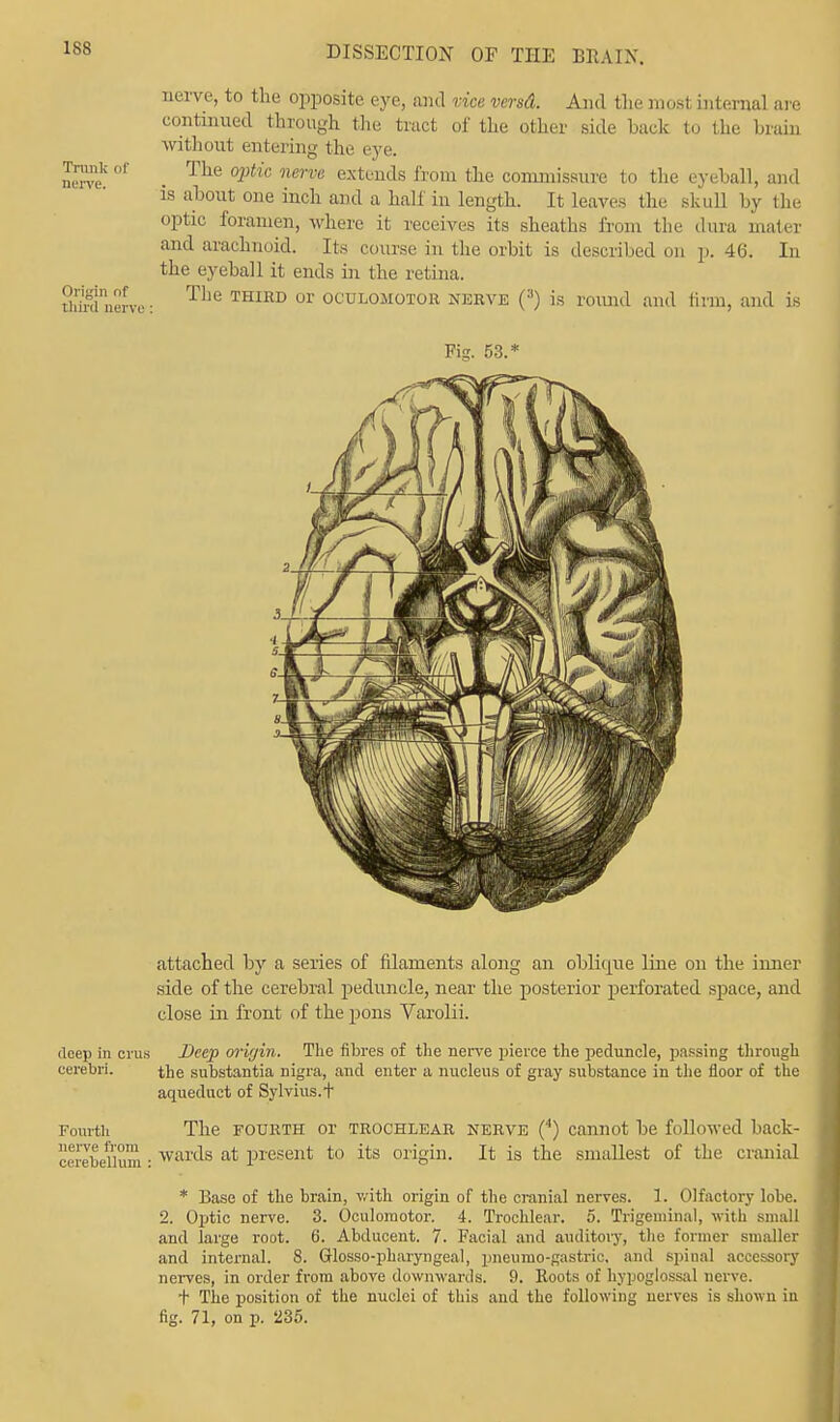 Trunk el- nerve. Origin of third nerve nerve, to the opposite eye, and vice vend. And the most internal are continued through the tract of the other side back to the brain without entering the eye. The optic nerve extends from the commissure to the eyeball, and is about one inch and a half in length. It leaves the skull by the optic foramen, where it receives its sheaths from the dura mater and arachnoid. Its course in the orbit is described on p. 46. in the eyeball it ends in the retina. The third or oculomotor nerve (:t) is round and firm, and is Fig. 53.* attached by a series of filaments along an oblique line on the inner side of the cerebral peduncle, near the posterior perforated space, and close in front of the pons Varolii. deep in eras Beep origin. The fibres of the nerve pierce the peduncle, passing through cerebri. the substantia nigra, and enter a nucleus of gray substance in the floor of the aqueduct of Sylvius.t Fourth The fourth or trochlear nerve (4) cannot be followed back- cerebeiium: wards at present to its origin. It is the smallest of the cranial * Base of the brain, v/ith origin of the cranial nerves. 1. Olfactory lobe. 2. Optic nerve. 3. Oculomotor. 4. Trochlear. 5. Trigeminal, with small and large root. 6. Abducent. 7. Facial and auditory, the former smaller and internal. 8. Glossopharyngeal, pneumo-gastric, and spinal accessory nerves, in order from above downwards. 9. Roots of hypoglossal nerve. t The position of the nuclei of this and the following nerves is shown in fig. 71, on p. 235.