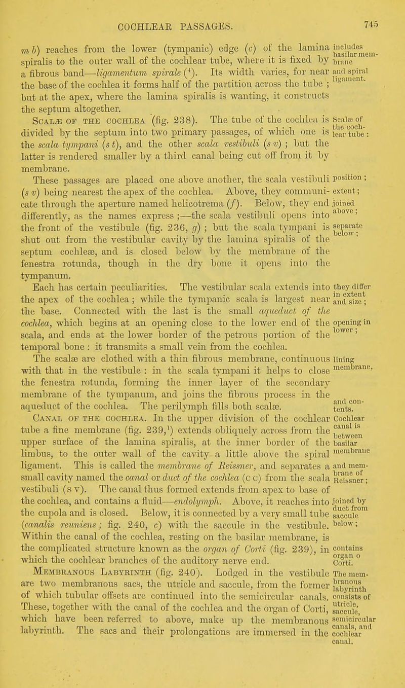 COCHLEAR PASSAGES. m b) reaches from the lower (tympanic) edge (c) oi the lamina includes / . . v • f, i t basilar mcui- spiralis to the outer wall of the cochlear tube, where it is nxeel by brane a fibrous band—Ugamentum spirale (4). Its width varies, for near audspiral the base of the cochlea it forms half of the partition across the tube ; gamB but at the apex, where the lamina spiralis is wanting, it constructs the septum altogether. Scaije OP THE cochlea (fig. 238). The tube of the cochlea is Scalasof divided by the septum into two primary passages, of which one is tear taba: the scala t ijmpani (s £), and the other scala vestibuli (s v) ; but the latter is rendered smaller by a third canal being cut off from it by membrane. These passages are placed one above another, the scala vestibuli position ; (s v) being nearest the apex of the cochlea. Above, they communi- extent; cate through the aperture named helicotrema (/). Below, they end joined differently, as the names express;—the scala vestibuli opens intoaove' the front of the vestibule (fig. 236, g) ; but the scala tympaui is Wiate shut out from the vestibular cavity by the lamina spiralis of the septum cochleae, and is closed below by the membrane of the fenestra rotunda, though in the dry bone it opens into the tympanum. Each has certain peculiarities. The vestibular scala extends into they differ the apex of the cochlea ; while the tympanic scala is largest near ana SjZe. the base. Connected with the last is the small aqueduct of the cochlea, which begins at an opening close to the lower end of the opening in scala, and ends at the lower border of the petrous portion of the temporal bone : it transmits a small vein from the cochlea. The scaloe are clothed Avith a thin fibrous membrane, continuous lining with that in the vestibule : in the scala tympani it helps to close membrane' the fenestra rotunda, forming the inner layer of the secondary membrane of the tympanum, and joins the fibrous process in the aqueduct of the cochlea. The perilymph fills both scalsc. tents.0 Canal ok the cochlea. In the upper division of the cochlear Cochlear tube a fine membrane (fig. 239,1) extends obliquely across from the ^^^ upper surface of the lamina spiralis, at the inner 1 under of the basilar linibus, to the outeT wall of the cavity a little above the spiral raemljraue ligament. This is called the membrane of Reimmer, and separates a and mem- small cavity named the canal or duct of the cochlea (c c) from the scala Ressner • vestibuli (sv). The canal thus formed extends from apex to base of the cochlea, and contains a fluid—endolymph. Above, it reaches into joined by the cupola and is closed. Below, it is connected by a very small tube saccule (canalvi revmens; fig. 240, c) with the saccule in (lie vestibule. below; Within the canal of the cochlea, resting on the basilar membrane, is the complicated structure known as the organ of Gorti (fig. 239), in contains which the cochlear branches of the auditory nerve end. Cw-ti. ° Membranous Labyrinth (fig. 240). Lodged in the vestibule The mem- are two membranous sacs, the utricle and saccule, from (he former {jJbjSnth of which tubular offsets are continued into the semicircular canals, consists of These, together with the canal of the cochlea and the organ of Corti, ^ccule, which have been referred to above, make up the membranous semicircular labyrinth. The sacs and their prolongations ;ire immersed in the cochlear1 canal.