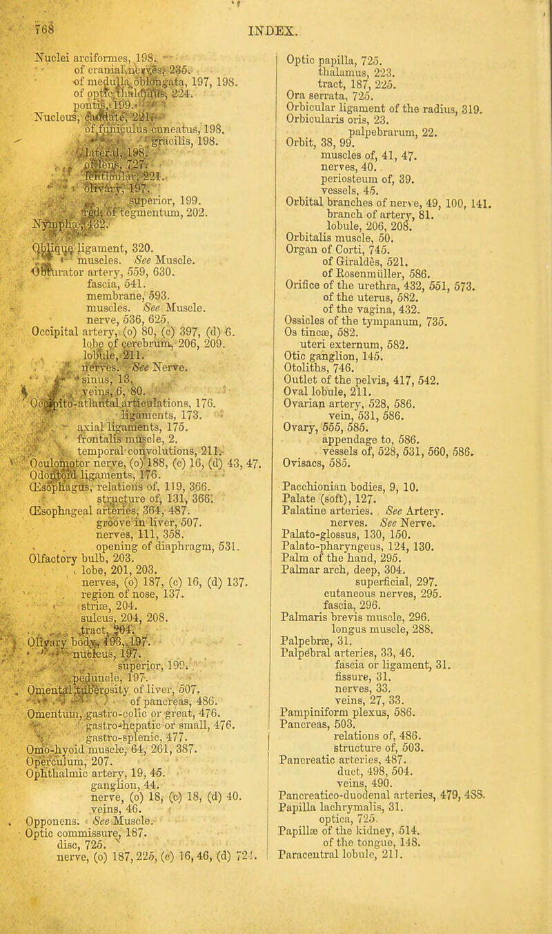 Nuclei areiformes, ,198. of cranial.nei|Y,3s,> 235. of medulla obldhgata, 197, 198. of opttb^lialiftUSlfej 22-1. ponti|,il99.«:; ' Nucleus, cVfttate, '221; of funiculus cuncatus, 198. • - • '^gracilis, 198. (,'luteral, 198. ■ <t C®uS, 7.27'. R«n'Rmil;\v, 221. olivary, 197. ■mi, , ■ superior, 199. ti£tl', of tegmentum, 202. Xyniph;e; 432. QbUquq ligament, 320. •JSj ' muscles. See Muscle. OWliratov artery, 559, 630. fascia, 541. membrane, 593. muscles. See Muscle. nerve, 536, 625. Occipital artery,, (o) 80, (c) 397, (d) 6. lobe of cerebrum. 206, 209. lobule, 211. ■f lie'rves.'' See Nerve. • • i~ ' •'sinus, 13. \ Je i veins, 6, 80. Uepipito-atlarital articulations, 170. ligaments, 173. - axial ligaments, 175. frontalis muscle, 2. \ temporal-convolutions, 211.- Oculomotor nerve, (o)'l88, (e) 16, (d) -13, 47. t Moutoi'fl ligaments, 176. (Esophagus, relations of, 119, 366. structure of, 131, 3681 (Esophageal arteries, 364, 487. groove in liver, 507. nerves, 111, 358. opening of diaphragm, 531. Olfactory bulb, 203. , lobe, 201, 203. nerves, (o) 187, (c) 16, (d) 137. region of nose, 137. < stria?, 204. sulcus, 204, 208. . , „,.. .tract. 504'. Olivary bod.;*, 493„197. • ' ■■ ■ nucleus, 197. sxiperior, 199. , '■.peduncle, 197. , OmentalJtiib'erosity of liver, 507. ••-!«» . -j r»! . .■ of pancreas, 4S6. Omentum, gastro-colic or great, 476. gastro-hepatic or small, 476. gastro-splenic, 477. Omo-hyoid muscle, 64, 261, 387. Operculum, 207. Ophthalmic artery, 19, 45. ganglion, 44. nerve, (o) 18, (c) 18, (d) 40. veins, 46. Oppouens. See Muscle. • Optic commissure, 187. disc, 725. N nerve, (o) 187,225, (c) 16,46, (d) 721. Optic papilla, 725. thalamus, 223. tract, 187, 225. Ora serrata, 725. Orbicular ligament of the radius, 319. Orbicularis oris, 23. palpebrarum, 22. Orbit, 38, 99. muscles of, 41, 47. nerves, 40. periosteum of, 39. vessels, 45. Orbital branches of nerve, 49, 100, 141. branch of artery, 81. lobule, 206, 208. Orbitalis muscle, 50. Organ of Corti, 745. of Giraldes, 521. of Eoseniniiller, 586. Orifice of the urethra, 432, 551, 573. of the uterus, 582. of the vagina, 432. Ossicles of the tympanum, 735. Os tincae, 582. uteri externum, 582. Otic ganglion, 145. Otoliths, 746. Outlet of the pelvis, 417, 542. Oval lobule, 211. Ovarian artery, 528, 586. vein, 531, 586. Ovary, 555, 585. appendage to, 586. vessels of, 528, 531, 560, 586. Ovisacs, 5S5. Pacchionian bodies, 9, 10. Palate (soft), 127. Palatine arteries. See Artery. nerves. See Nerve. Palato-glossus, 130, 150. Palato-pharyngeus, 124, 130. Palm of the hand, 295. Palmar arch, deep, 304. superficial, 297. cutaneous nerves, 295. fascia, 296. Palmaris brevis muscle, 296. longus muscle, 288. Palpebrce, 31. Palpebral arteries, 33, 46. fascia or ligament, 31. fissure, 31. nerves, 33. veins, 27, 33. Pampiniform plexus, 586. Pancreas, 503. relations of, 486. structure of, 503. Pancreatic arteries, 487. duct, 498, 504. veins, 490. Pancreatico-duodcnal arteries, 479, 4SS. Papilla lachrymalis, 31. optica, 725. Papilla) of the kidney, 514. of the tongue, 118. Paracentral lobule, 211.