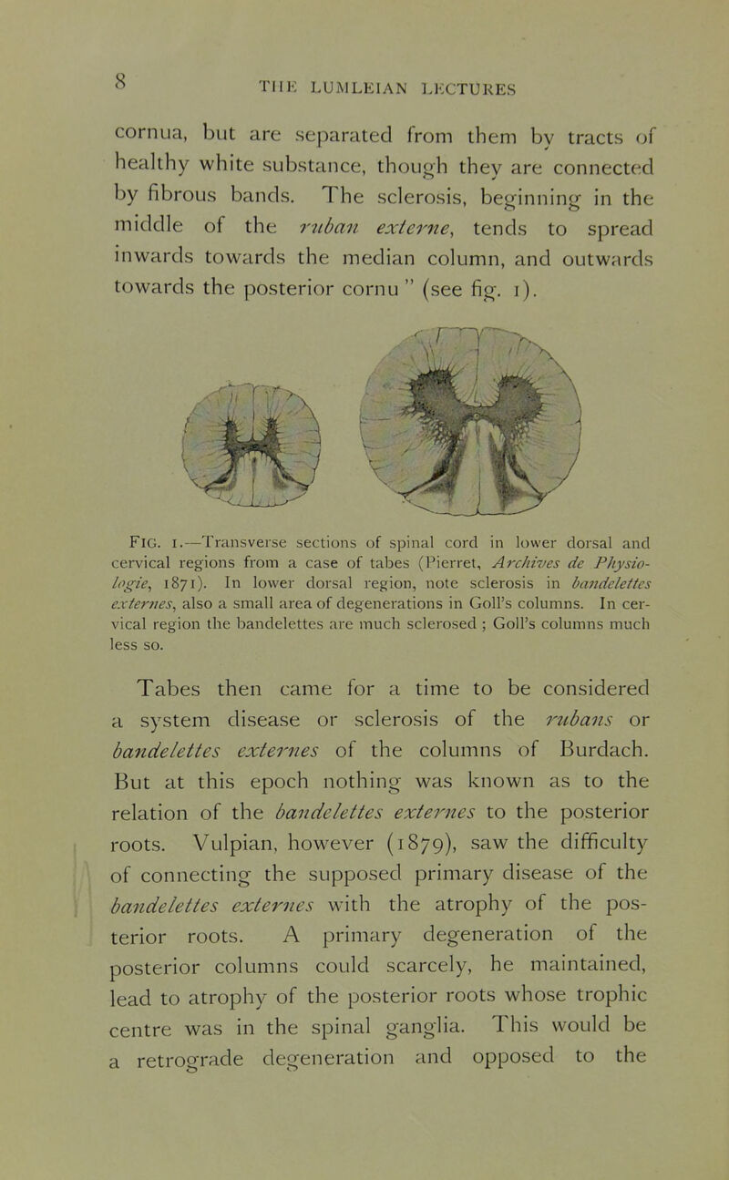 cornua, but are separated from them by tracts of healthy white substance, though they are connected by fibrous bands. The sclerosis, beginning in the middle of the rtiban externe, tends to spread inwards towards the median column, and outwards towards the posterior cornu  (see fig. i). Fig. I.—Transverse sections of spinal cord in lower dorsal and cervical regions from a case of tabes (Pierret, Archives de Physio- logic^ 1871). In lower dorsal region, note sclerosis in bandelettes externes^ also a small area of degenerations in Goll's columns. In cer- vical region the bandelettes are much sclerosed ; Goll's columns much less so. Tabes then came for a time to be considered a system disease or sclerosis of the rubans or bandelettes externes of the columns of Burdach. But at this epoch nothing was known as to the relation of the bandelettes externes to the posterior roots. Vulpian, however (1879), saw the difficulty of connecting the supposed primary disease of the bandelettes externes with the atrophy of the pos- terior roots. A primary degeneration of the posterior columns could scarcely, he maintained, lead to atrophy of the posterior roots whose trophic centre was in the spinal ganglia. This would be a retrograde degeneration and opposed to the