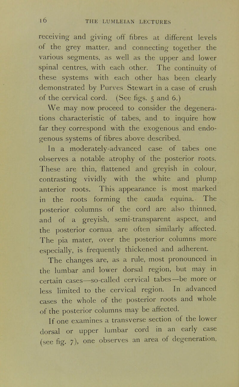 receiving and giving off fibres at different levels of the grey matter, and connecting together the various segments, as well as the upper and lower spinal centres, with each other. The continuity of these systems with each other has been clearly demonstrated by Purves Stewart in a case of crush of the cervical cord. (See figs. 5 and 6.) We may now proceed to consider the degenera- tions characteristic of tabes, and to inquire how far they correspond with the exogenous and endo- genous systems of fibres above described. In a moderately-advanced case of tabes one observes a notable atrophy of the posterior roots. These are thin, flattened and greyish in colour, contrasting vividly with the white and plump anterior roots. This appearance is most marked in the roots forming the cauda equina. The posterior columns of the cord are also thinned, and of a greyish, semi-transparent aspect, and the posterior cornua are often similarly affected. The pia mater, over the posterior columns more especially, is frequently thickened and adherent. The changes are, as a rule, most pronounced in the lumbar and lower dorsal region, but may in certain cases—so-called cervical tabes—be more or less limited to the cervical region. In advanced cases the whole of the posterior roots and whole of the posterior columns may be affected. If one examines a transverse section of the lower dorsal or upper lumbar cord in an early case (see 7), one observes an area of degeneration.