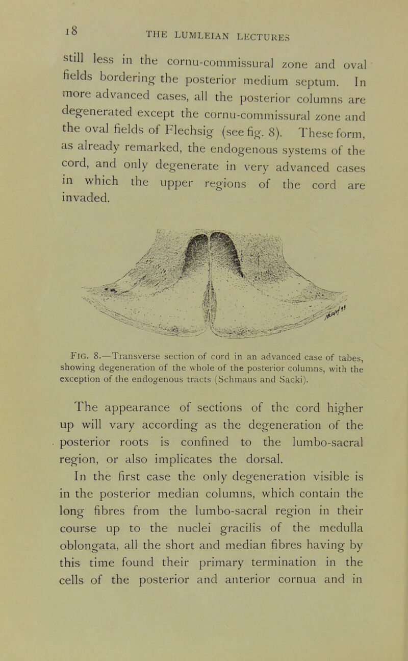 Still less in the cornu-commissural zone and oval fields borderinor the posterior medium septum. In more advanced cases, all the posterior columns are degenerated except the cornu-commissural zone and the oval fields of Flechsig (see fig. 8). These form, as already remarked, the endogenous systems of the cord, and only degenerate in very advanced cases in which the upper regions of the cord are invaded. Fig. 8.—Transverse section of cord in an advanced case of tabes, showing degeneration of the whole of the posterior columns, with the exception of the endogenous tracts (Schmaus and Sacki). The appearance of sections of the cord higher up will vary according as the degeneration of the posterior roots is confined to the lumbo-sacral region, or also implicates the dorsal. In the first case the only degeneration visible is in the posterior median columns, which contain the long fibres from the lumbo-sacral region in their course up to the nuclei gracilis of the medulla oblongata, all the short and median fibres having by this time found their primary termination in the cells of the posterior and anterior cornua and in