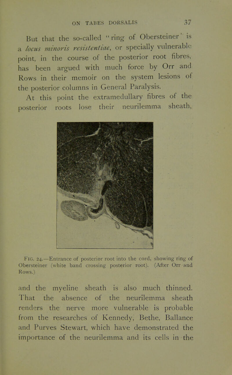 But that the so-called ring of Obersteiner' is a locus minoris resisttntiae, or specially vulnerable: point, in the course of the posterior root fibres, has been aroued with much force by Orr and Rows in their memoir on the system lesions of the posterior columns in General Paralysis. At this point the extramedullary fibres of the posterior roots lose their neurilemma sheath, Fig. 24.—Entrance of posterior root into the cord, showing ring of Obersteiner (white band crossing posterior root). (After Orr and Rows.) and the myeline sheath is also much thinned. That the absence of the neurilemma sheath renders the nerve more vulnerable is probable from the researches of Kennedy, Bethe, Ballance and Purves Stewart, which have demonstrated the importance of the neurilemma and its cells in the