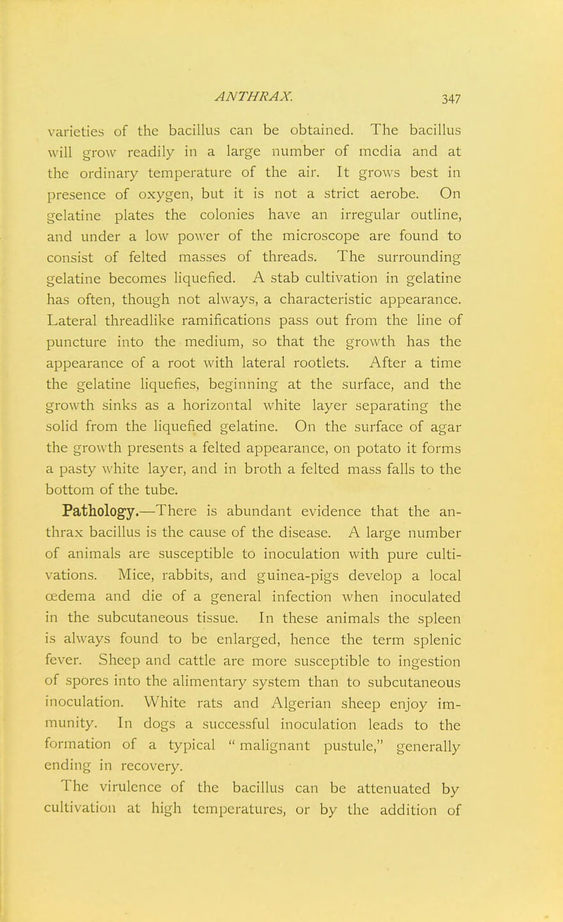 varieties of the bacillus can be obtained. The bacillus will grow readily in a large number of media and at the ordinary temperature of the air. It grows best in presence of oxygen, but it is not a strict aerobe. On gelatine plates the colonies have an irregular outline, and under a low power of the microscope are found to consist of felted masses of threads. The surrounding gelatine becomes liquefied. A stab cultivation in gelatine has often, though not always, a characteristic appearance. Lateral threadlike ramifications pass out from the line of puncture into the medium, so that the growth has the appearance of a root with lateral rootlets. After a time the gelatine liquefies, beginning at the surface, and the growth sinks as a horizontal white layer separating the solid from the liquefied gelatine. On the surface of agar the growth presents a felted appearance, on potato it forms a pasty white layer, and in broth a felted mass falls to the bottom of the tube. Pathology.—There is abundant evidence that the an- thrax bacillus is the cause of the disease. A large number of animals are susceptible to inoculation with pure culti- vations. Mice, rabbits, and guinea-pigs develop a local oedema and die of a general infection when inoculated in the subcutaneous tissue. In these animals the spleen is always found to be enlarged, hence the term splenic fever. Sheep and cattle are more susceptible to ingestion of spores into the alimentary system than to subcutaneous inoculation. White rats and Algerian sheep enjoy im- munity. In dogs a successful inoculation leads to the formation of a typical  malignant pustule, generally ending in recovery. The virulence of the bacillus can be attenuated by cultivation at high temperatures, or by the addition of